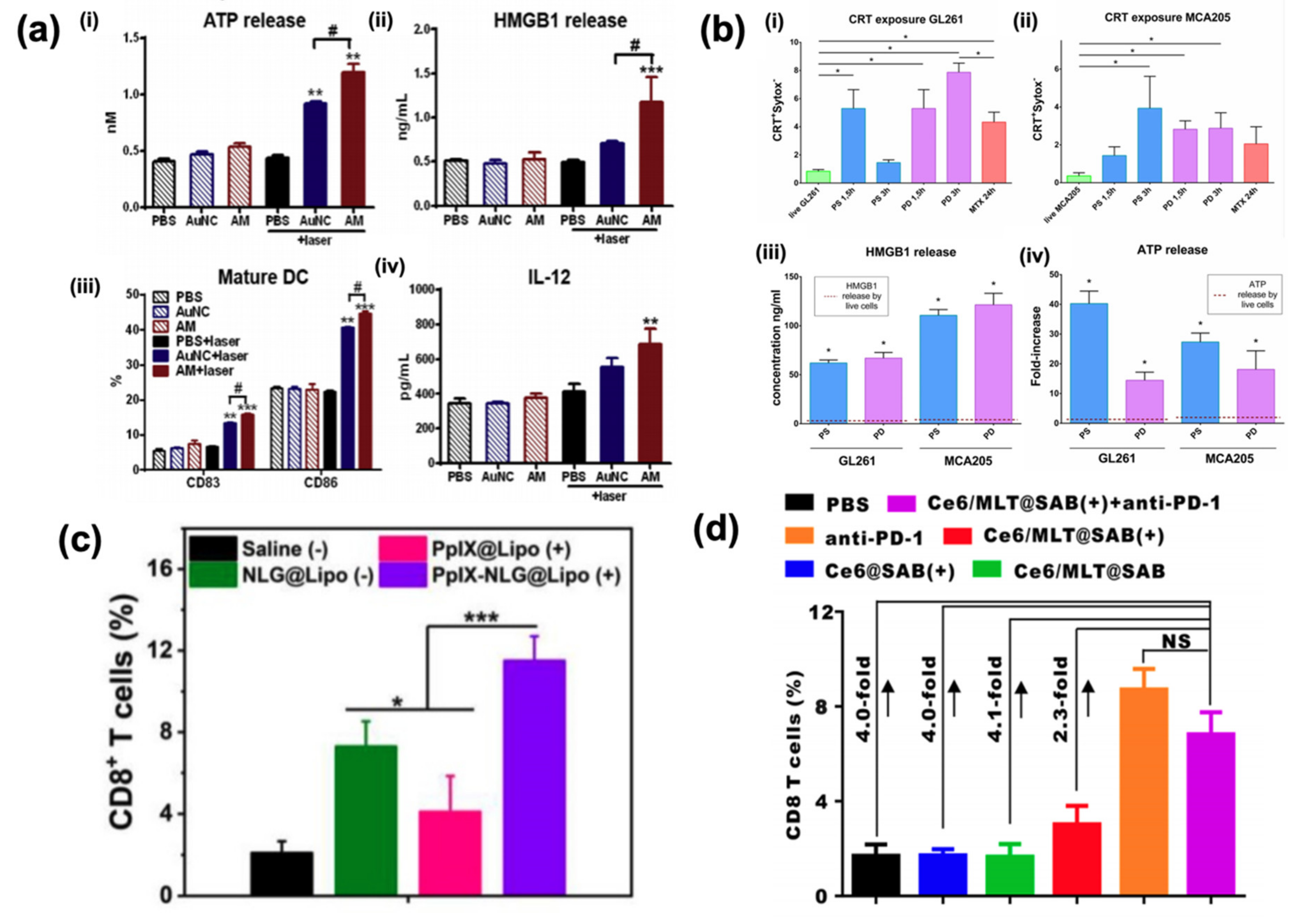 Cancers 12 03559 g002