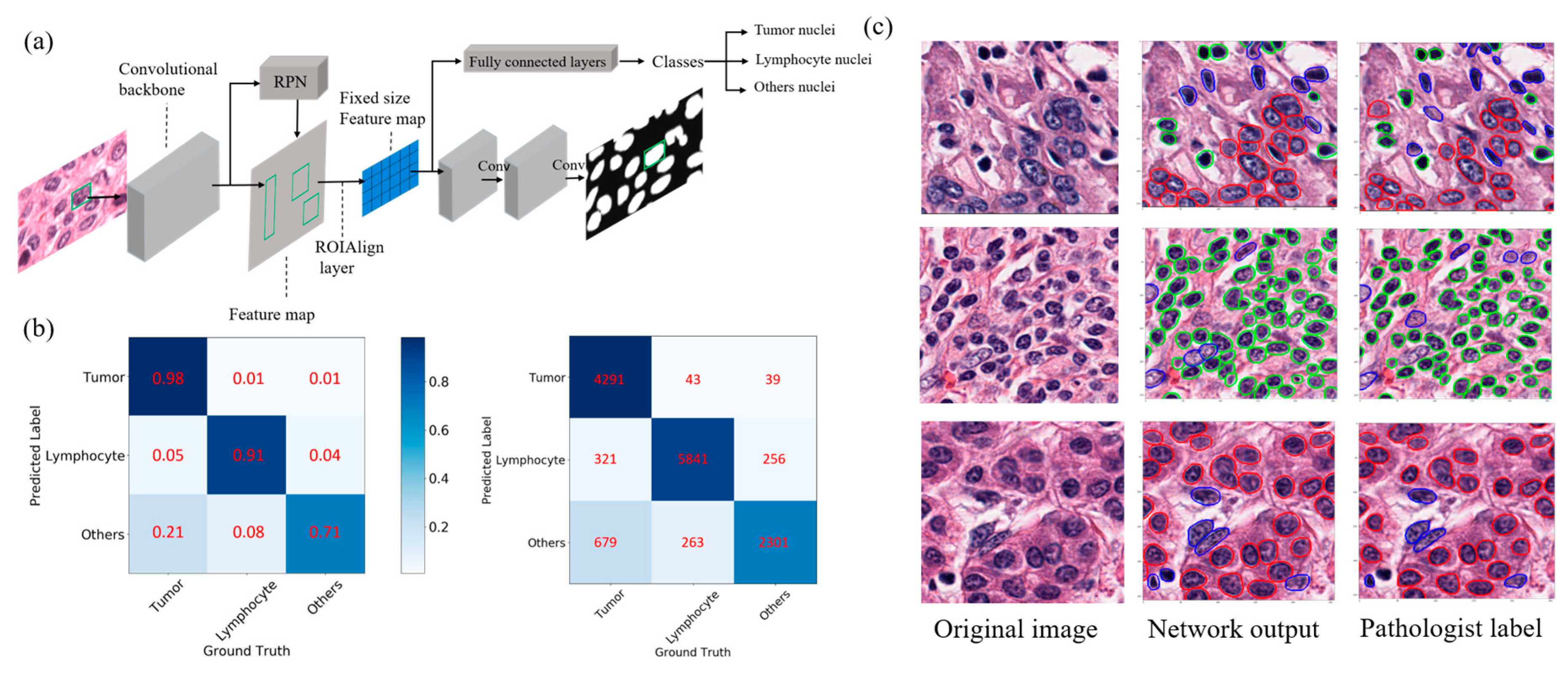 Cancers 12 03562 g001 Cancers 12 03562 g001