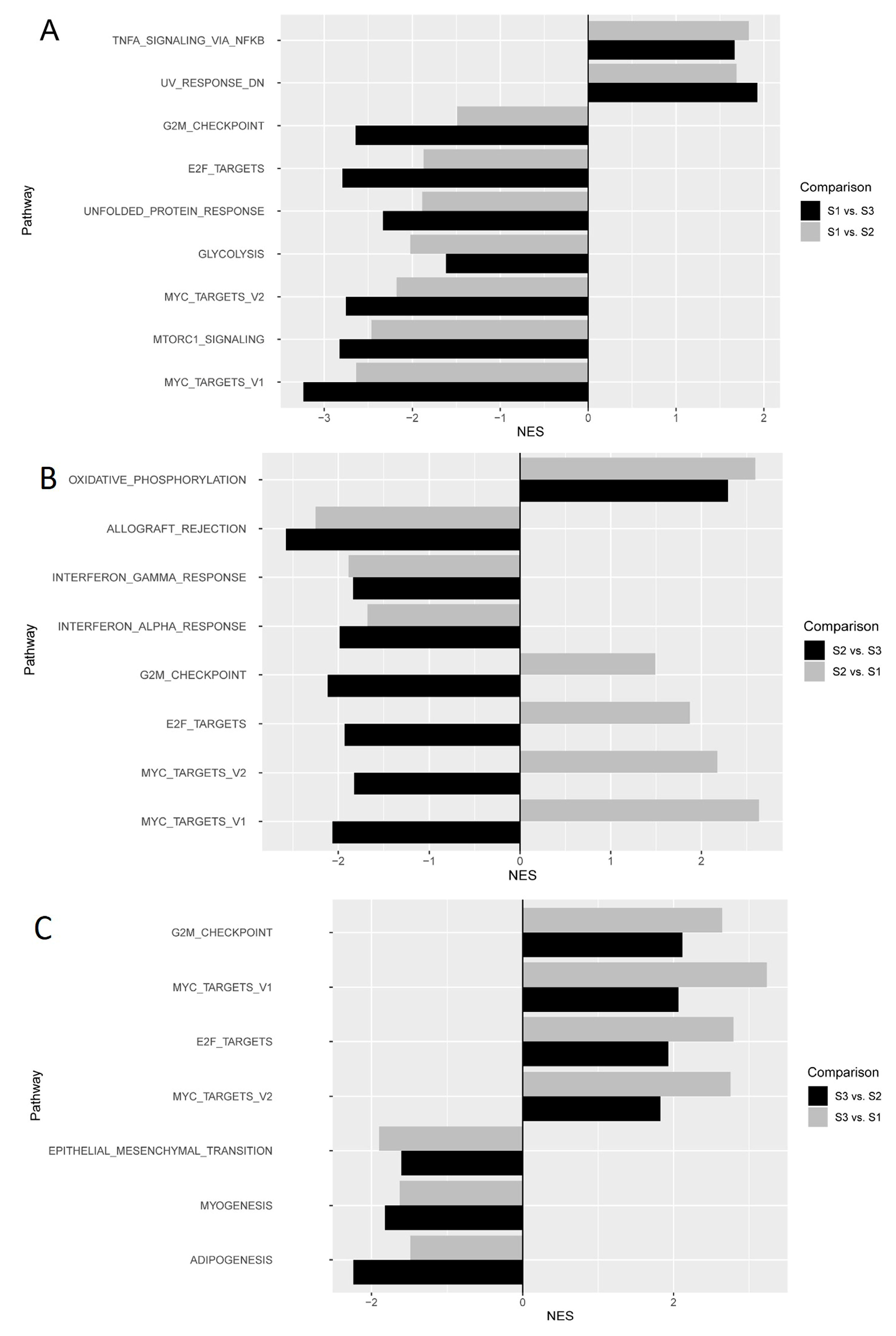 Cancers 12 03562 g005 Cancers 12 03562 g005