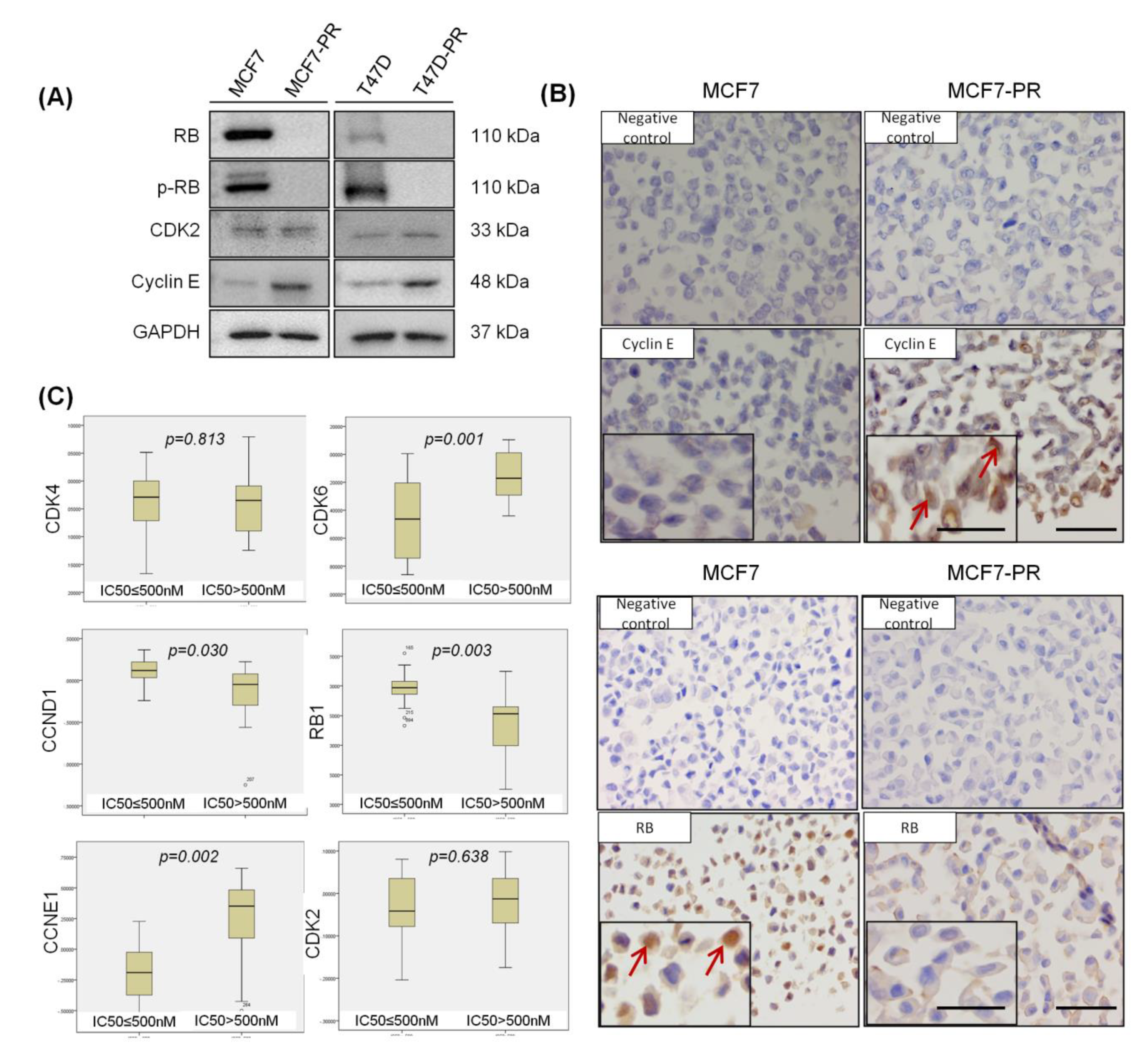 Cancers 12 03566 g002