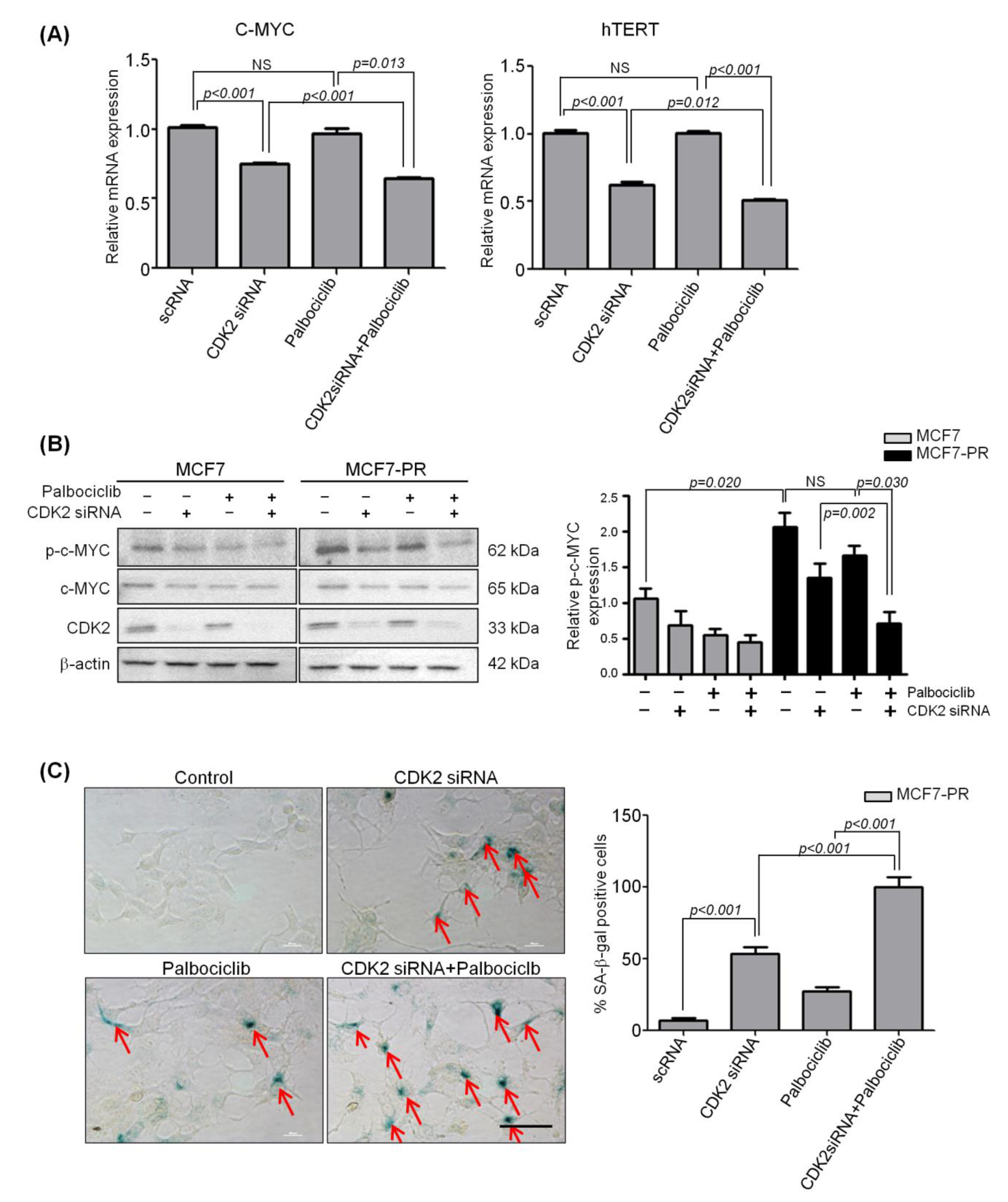 Cancers 12 03566 g005