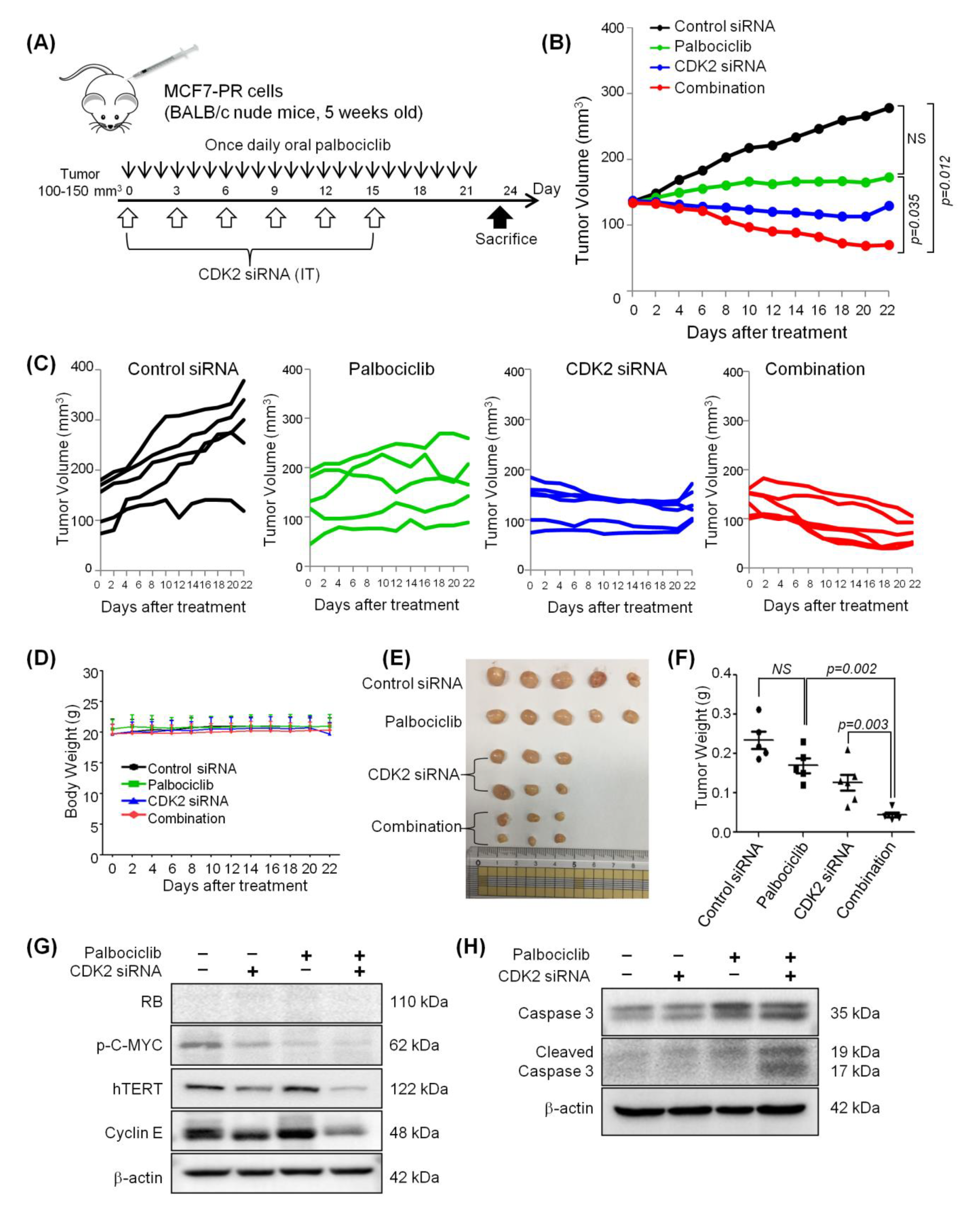 Cancers 12 03566 g006