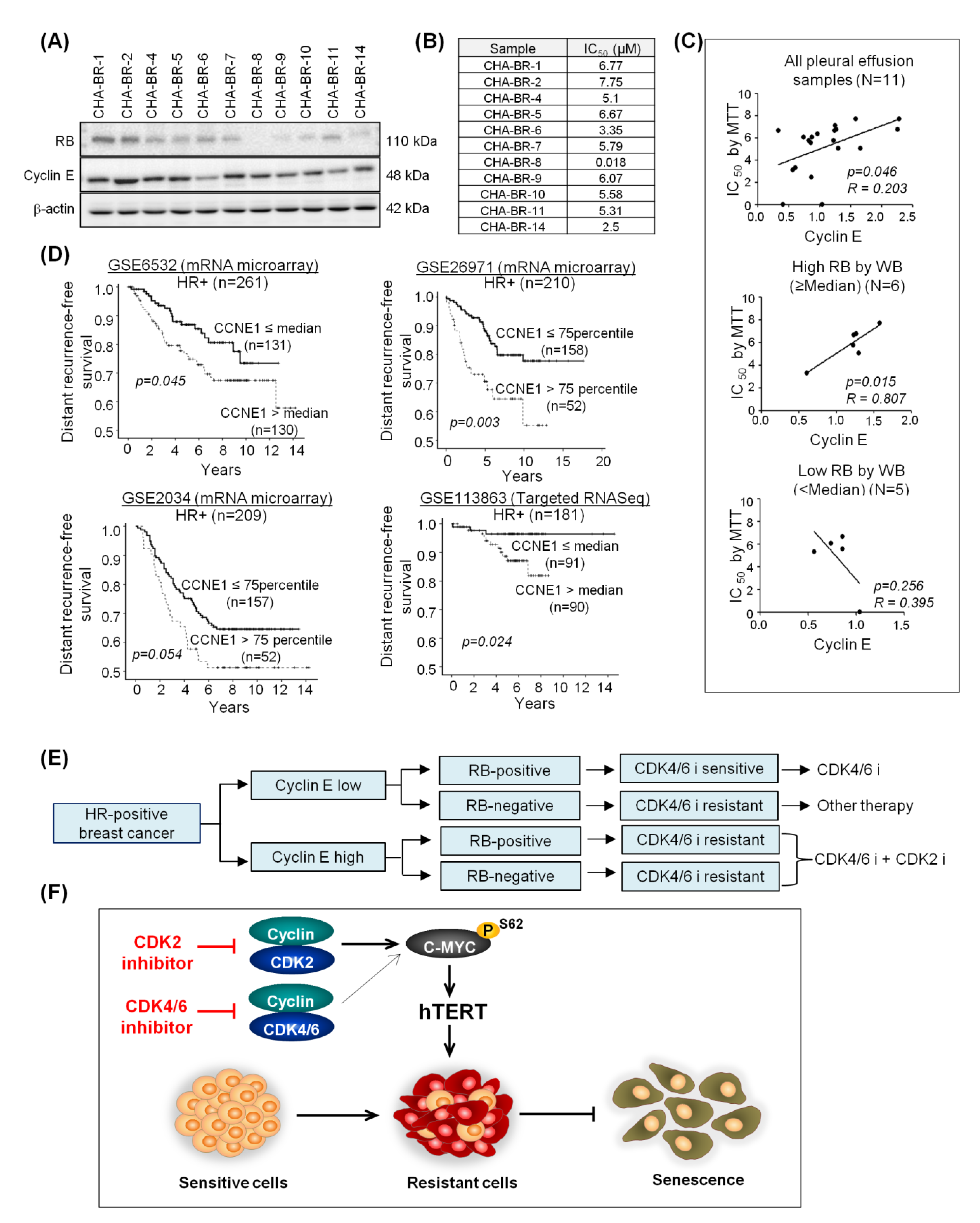 Cancers 12 03566 g007
