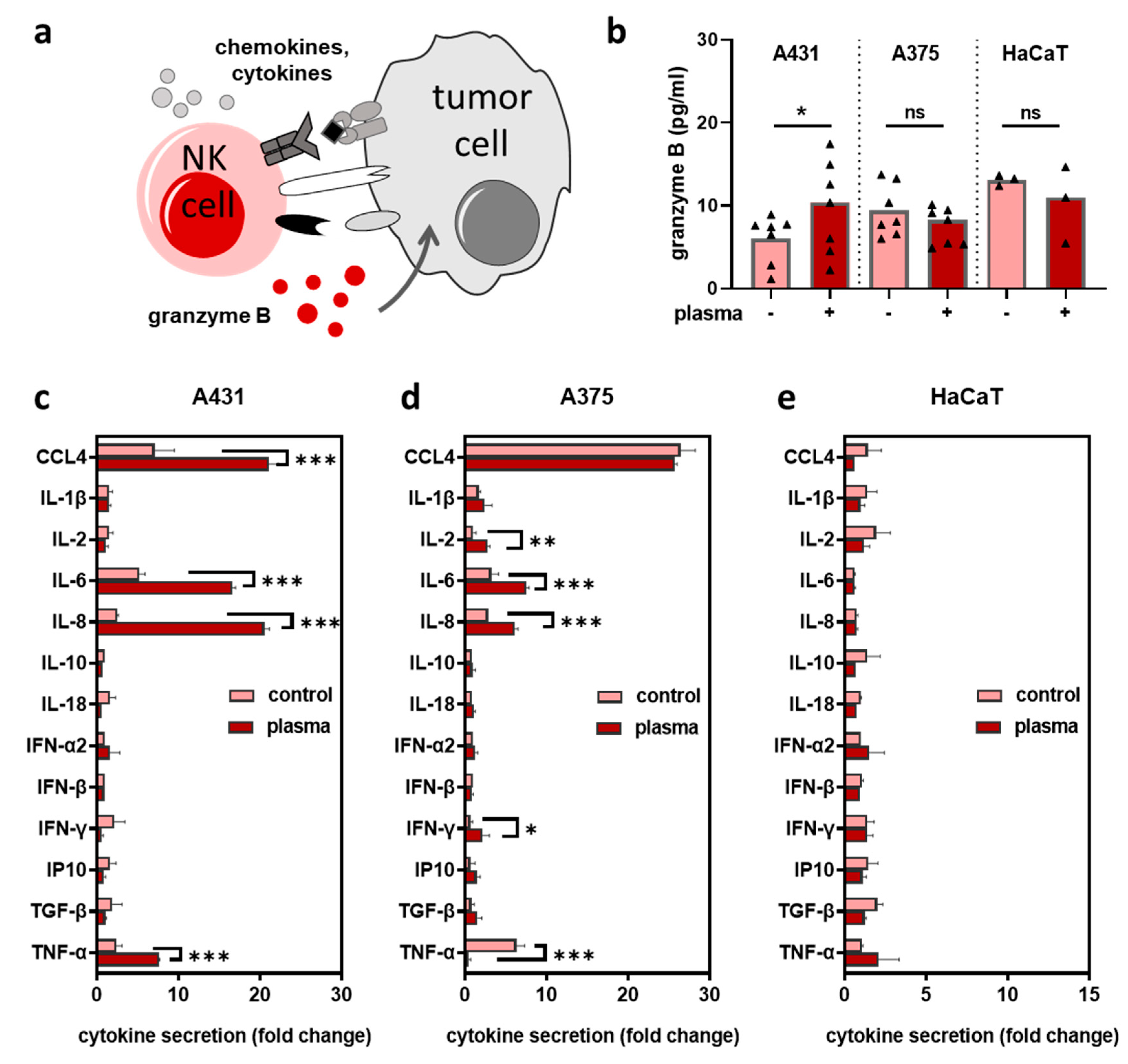 Cancers 12 03575 g004
