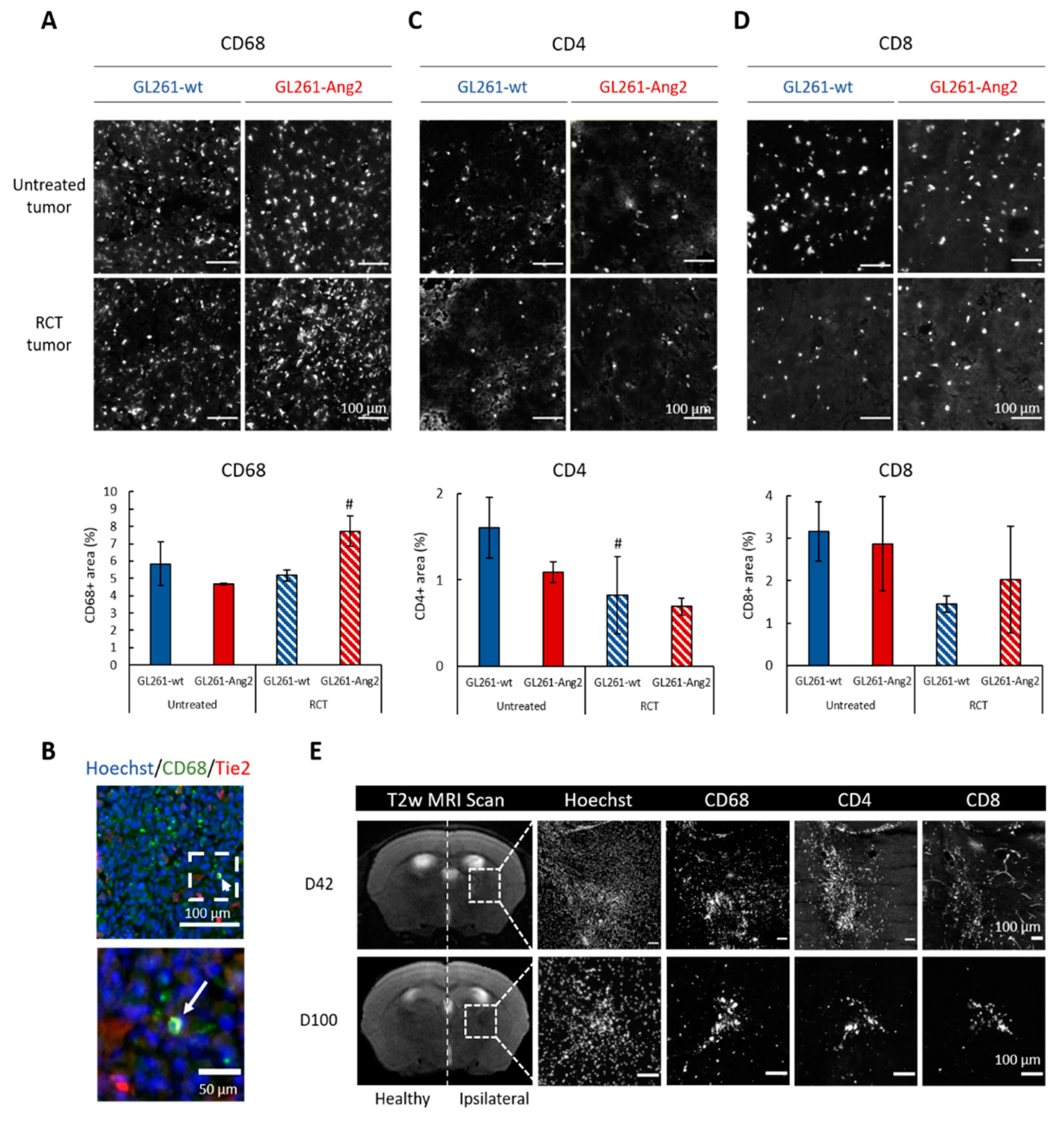 Cancers 12 03585 g003