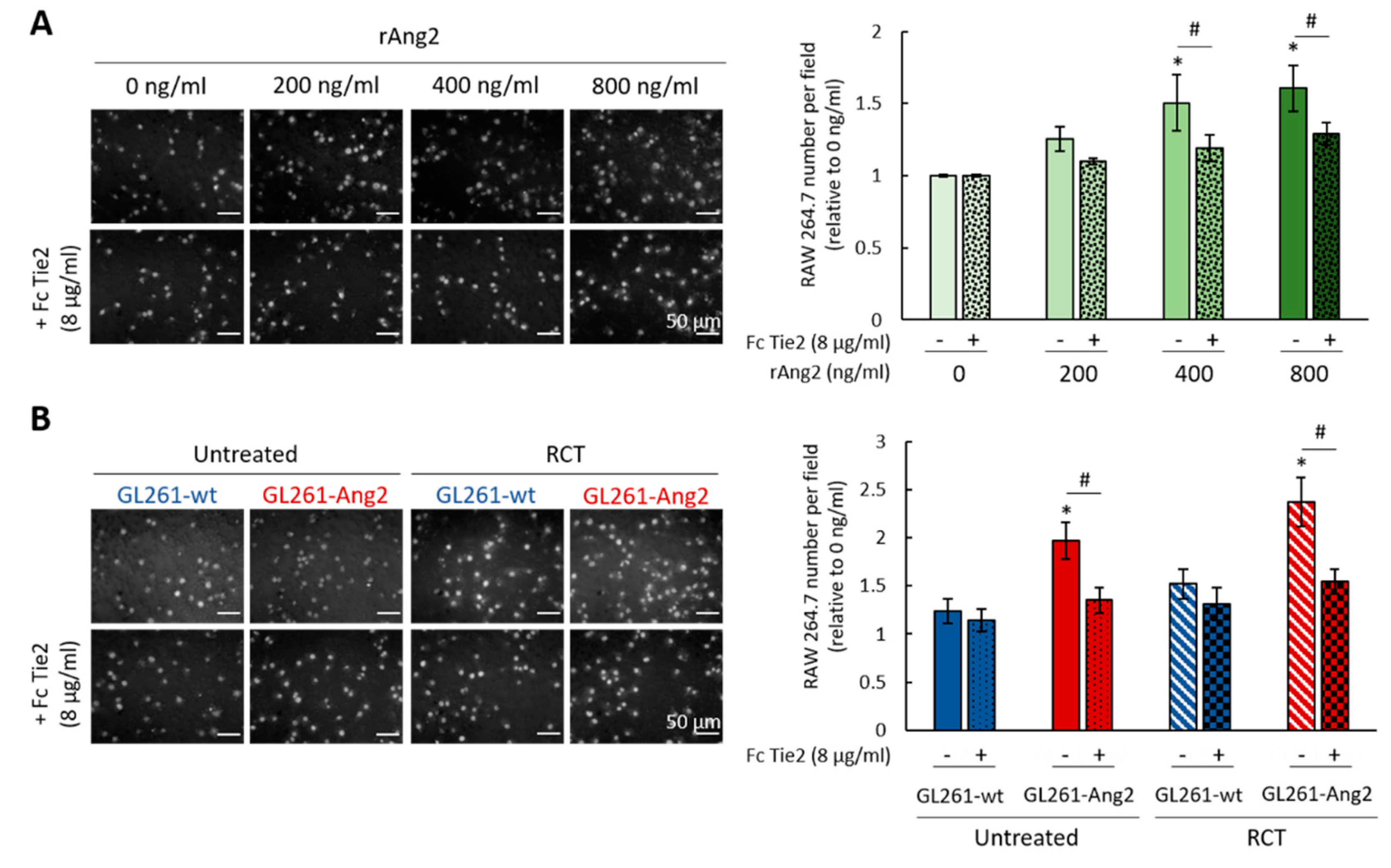 Cancers 12 03585 g004