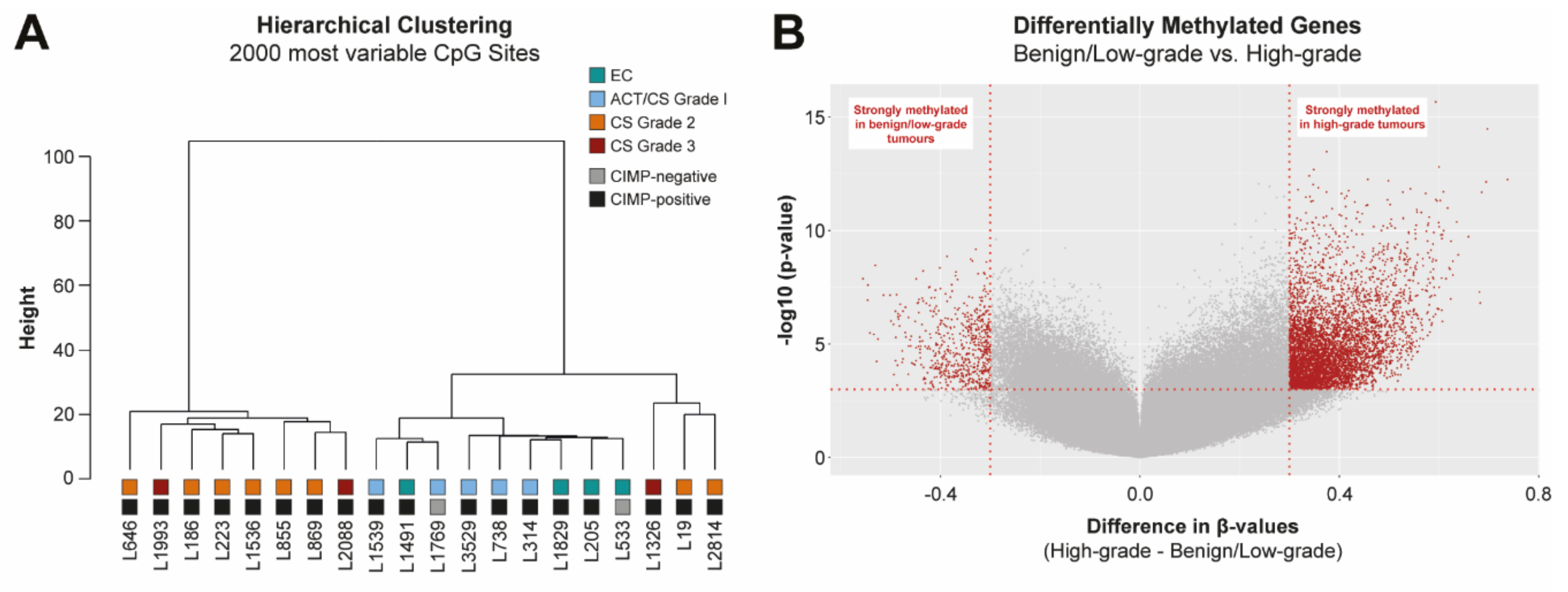 Cancers 12 03589 g001 Cancers 12 03589 g001