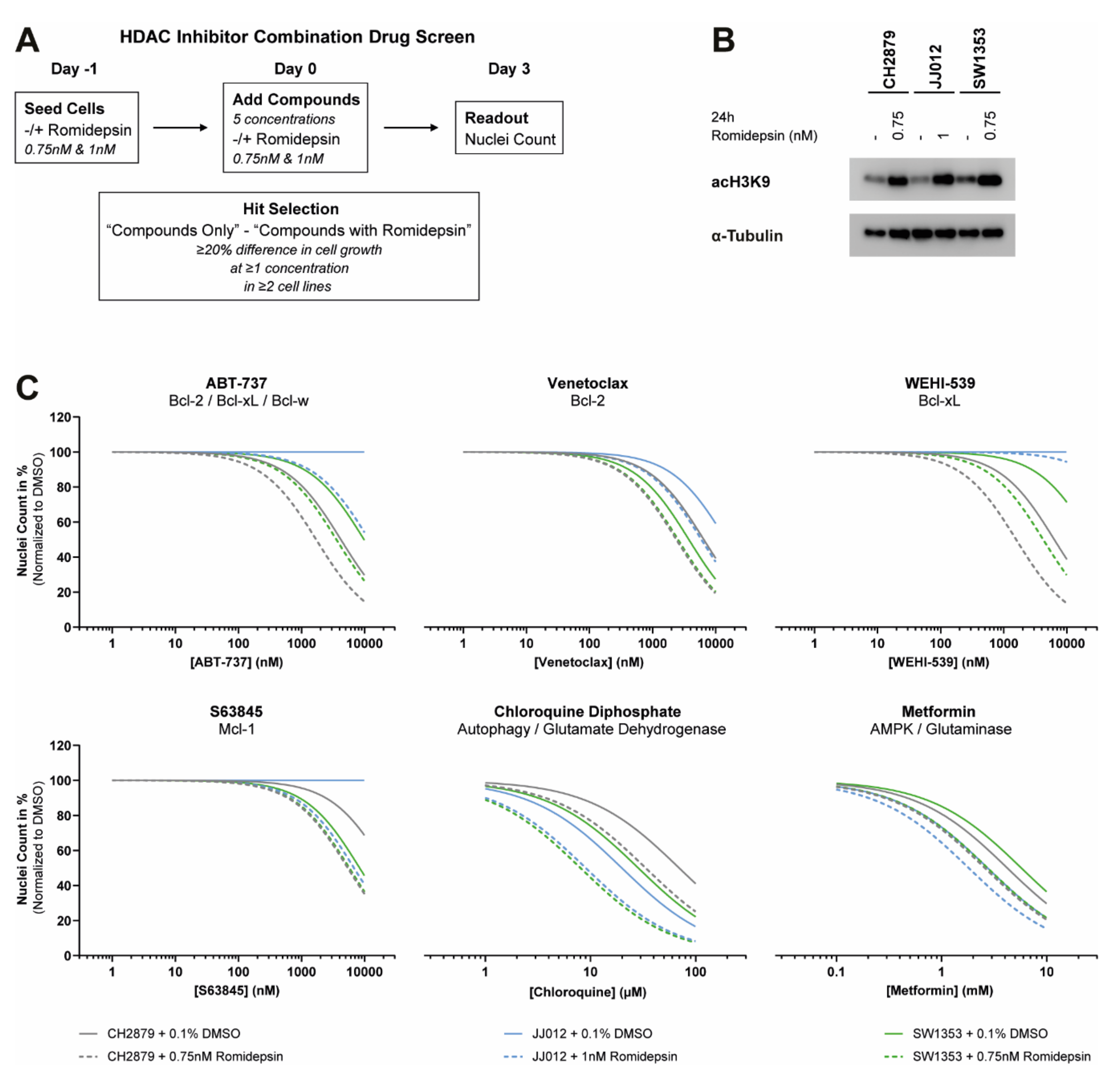 Cancers 12 03589 g005 Cancers 12 03589 g005