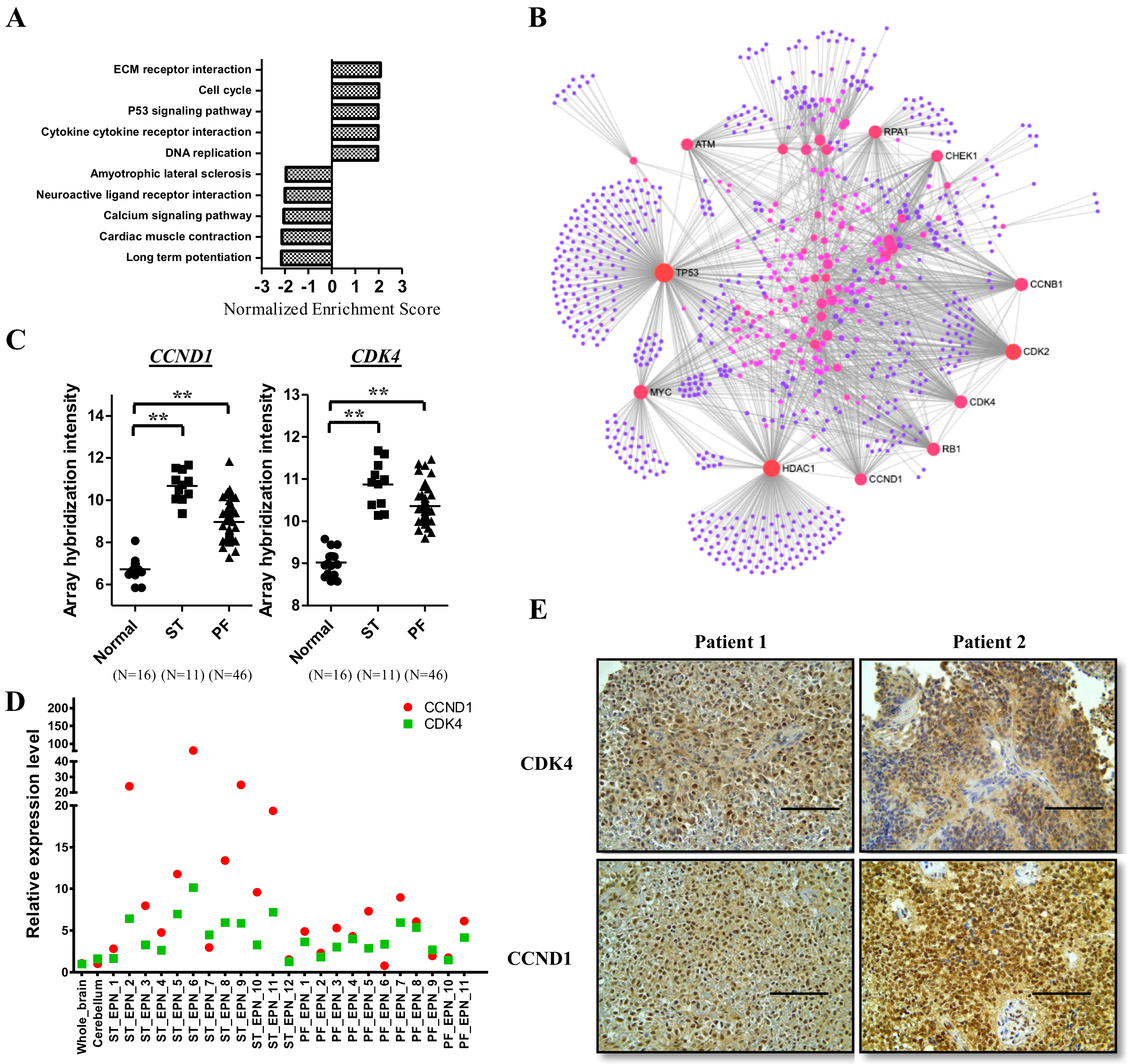Cancers 12 03597 g002 Cancers 12 03597 g002
