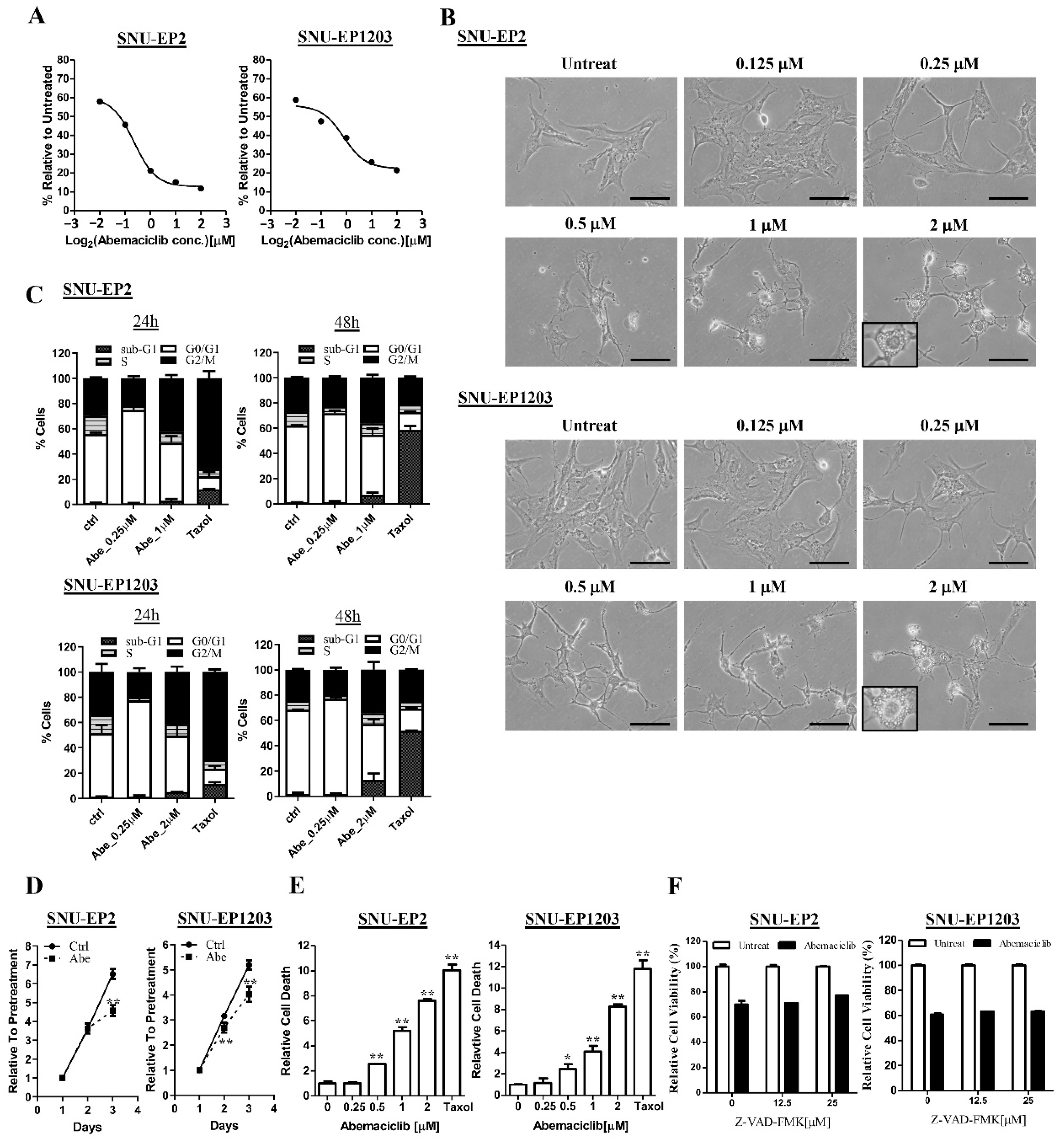Cancers 12 03597 g003 Cancers 12 03597 g003