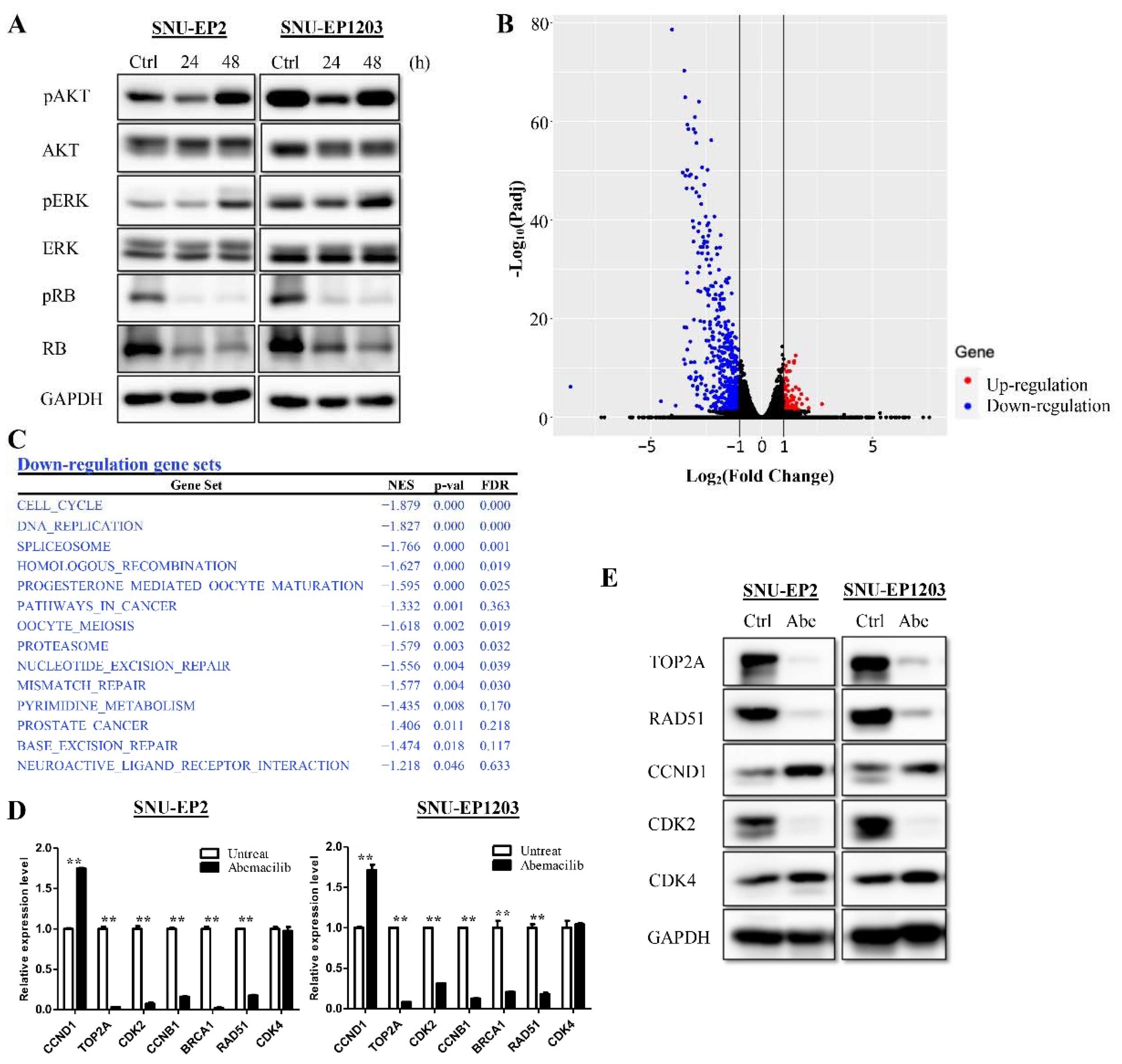 Cancers 12 03597 g004 Cancers 12 03597 g004