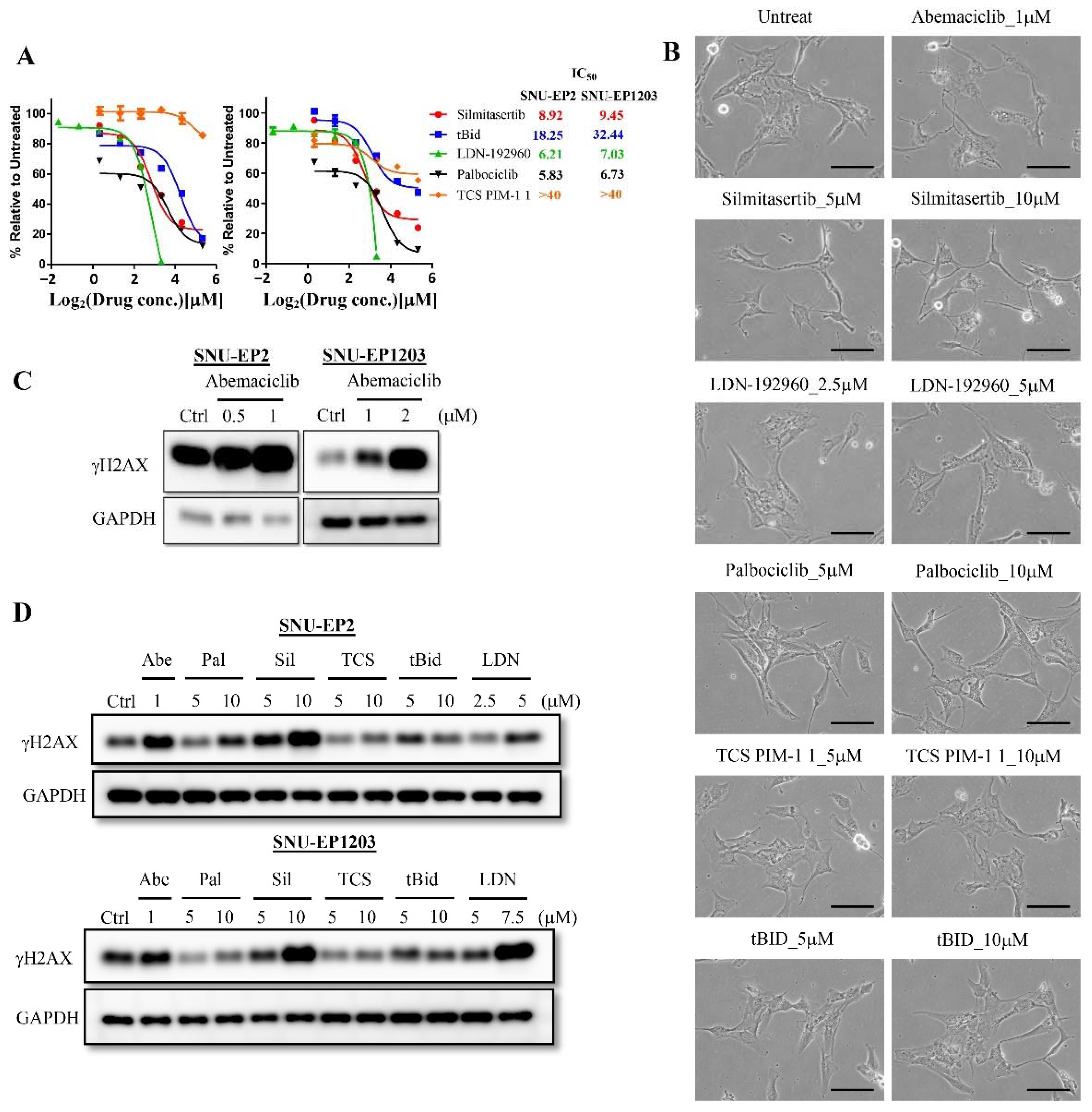 Cancers 12 03597 g005 Cancers 12 03597 g005