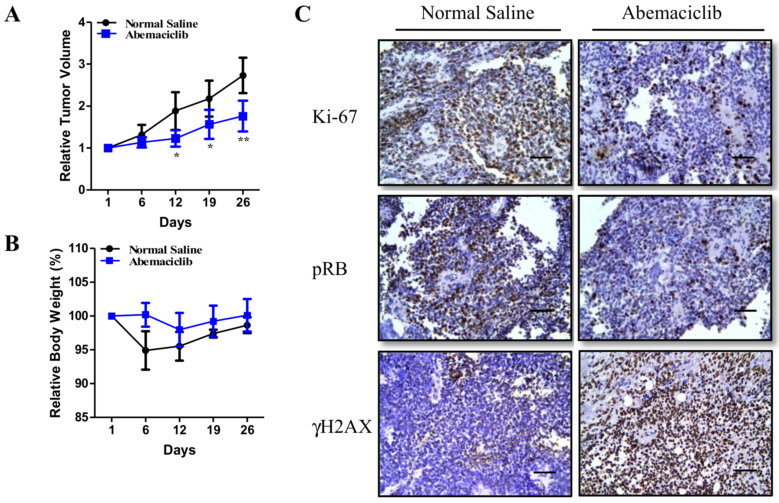 Cancers 12 03597 g006 Cancers 12 03597 g006