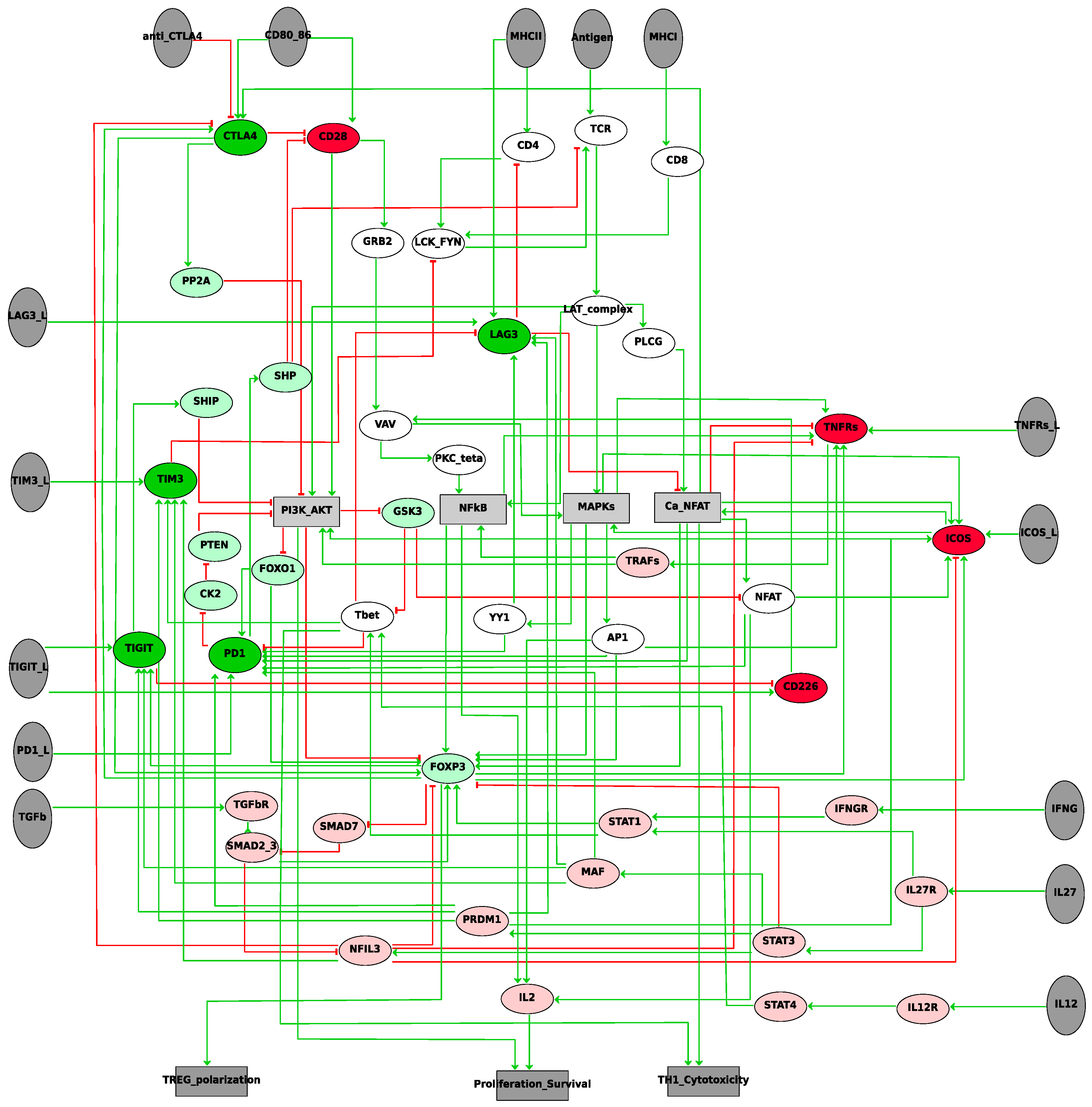 Cancers 12 03600 g002