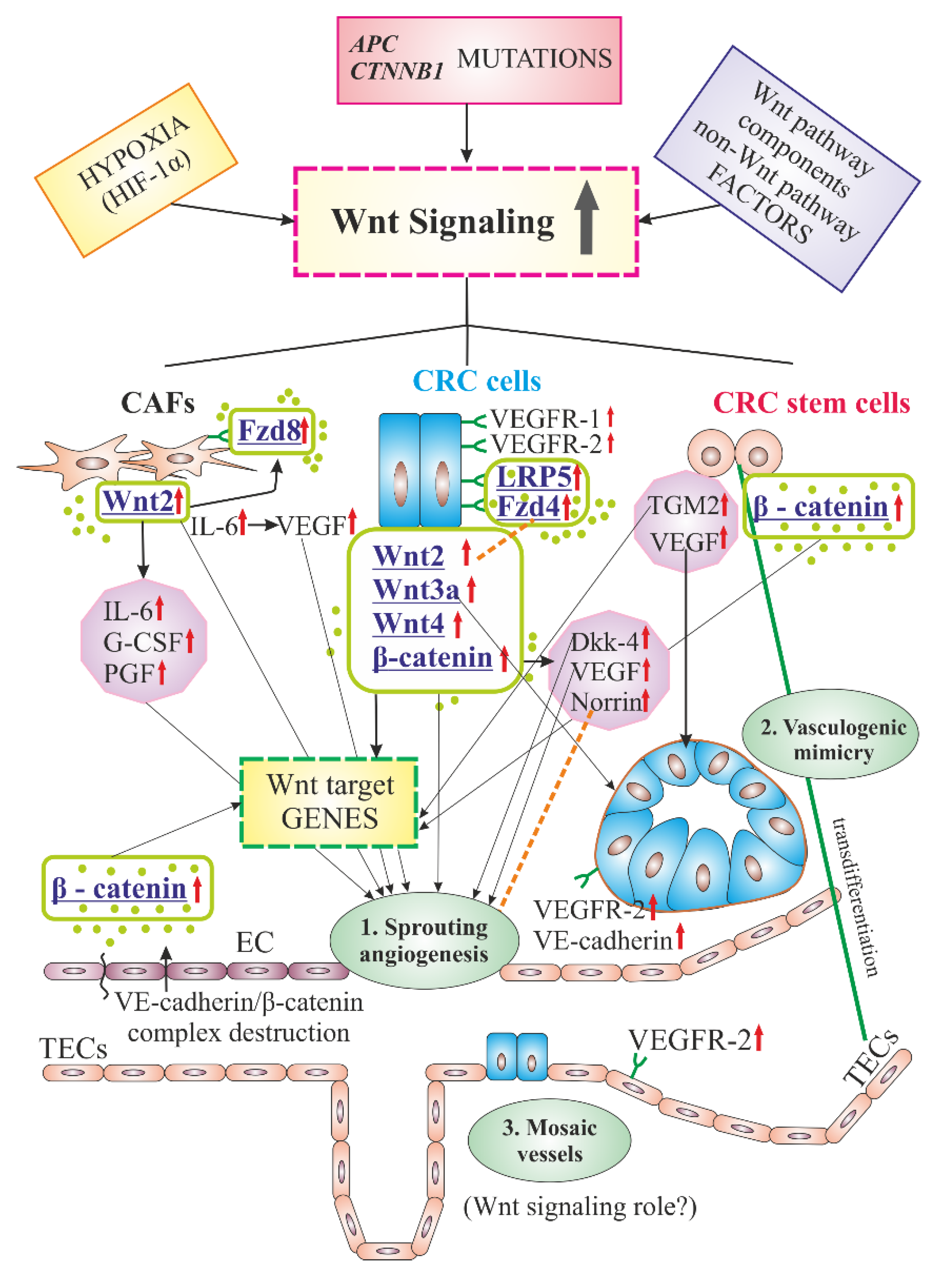 Cancers 12 03601 g001