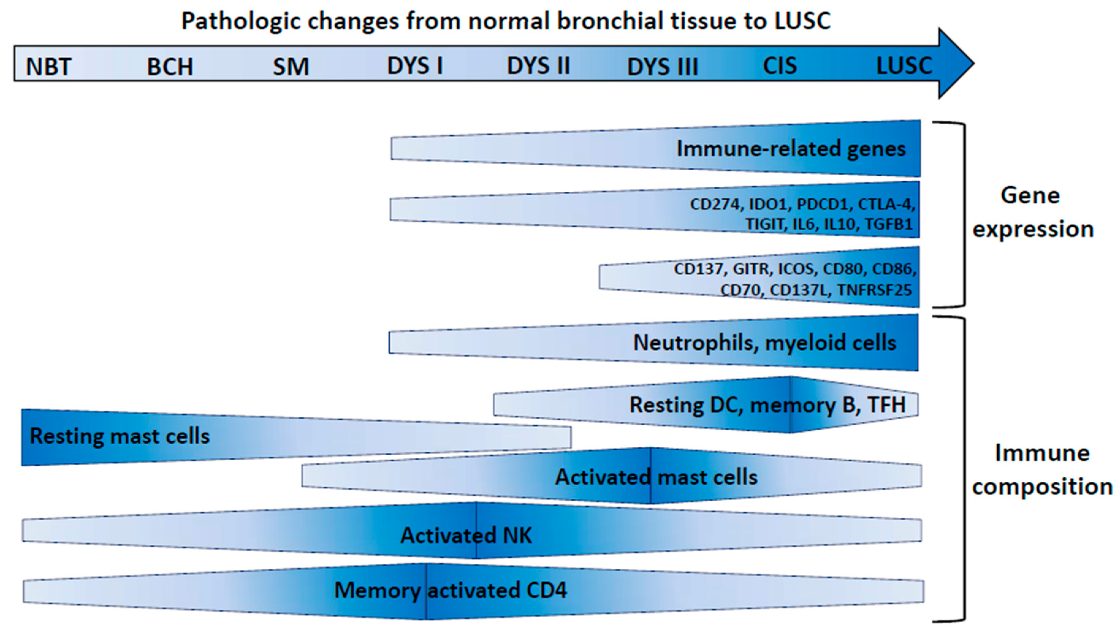 Cancers 12 03605 g002 Cancers 12 03605 g002