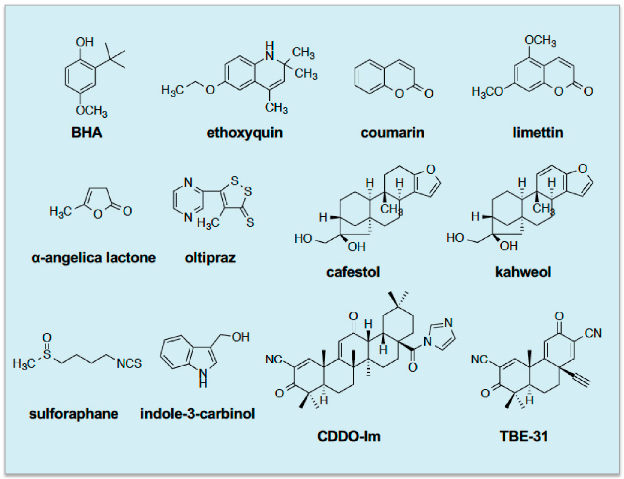 Cancers 12 03609 g001 Cancers 12 03609 g001
