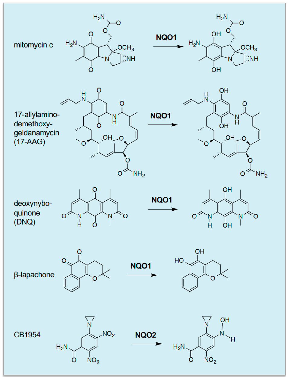 Cancers 12 03609 g006 Cancers 12 03609 g006