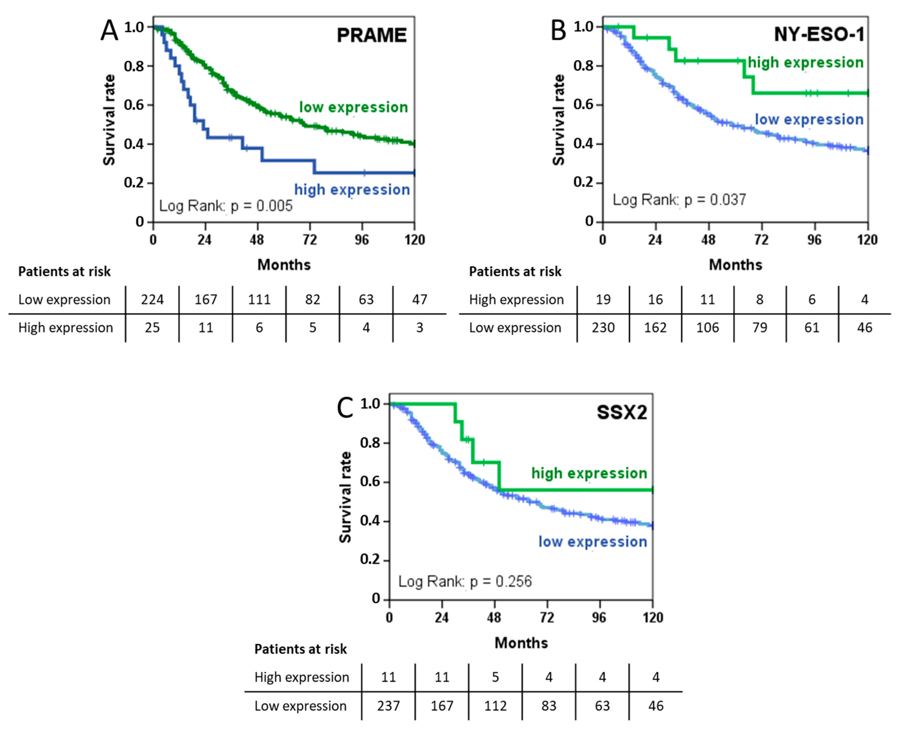 Cancers 12 03612 g004 Cancers 12 03612 g004