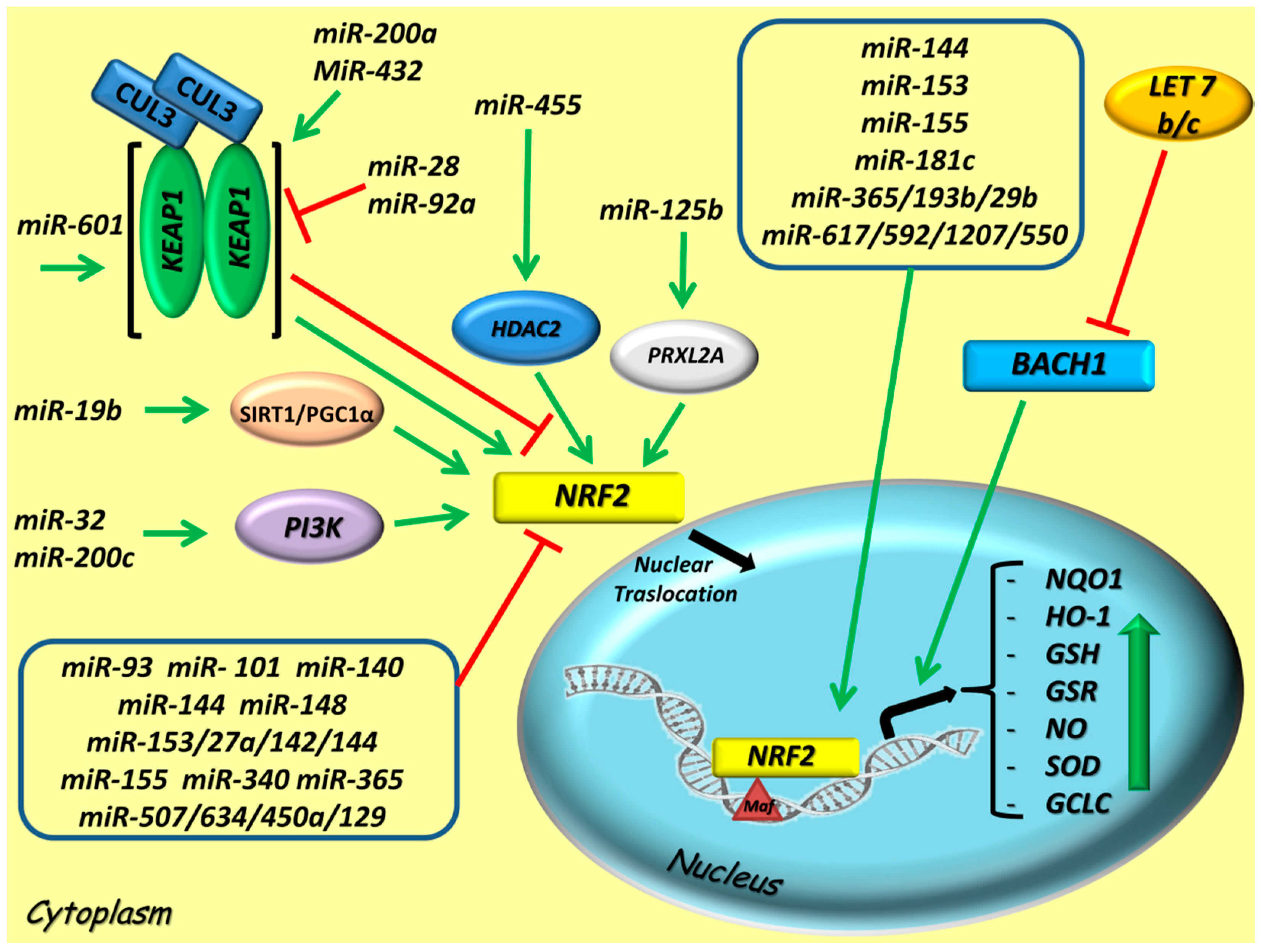 Cancers 12 03621 g002 Cancers 12 03621 g002