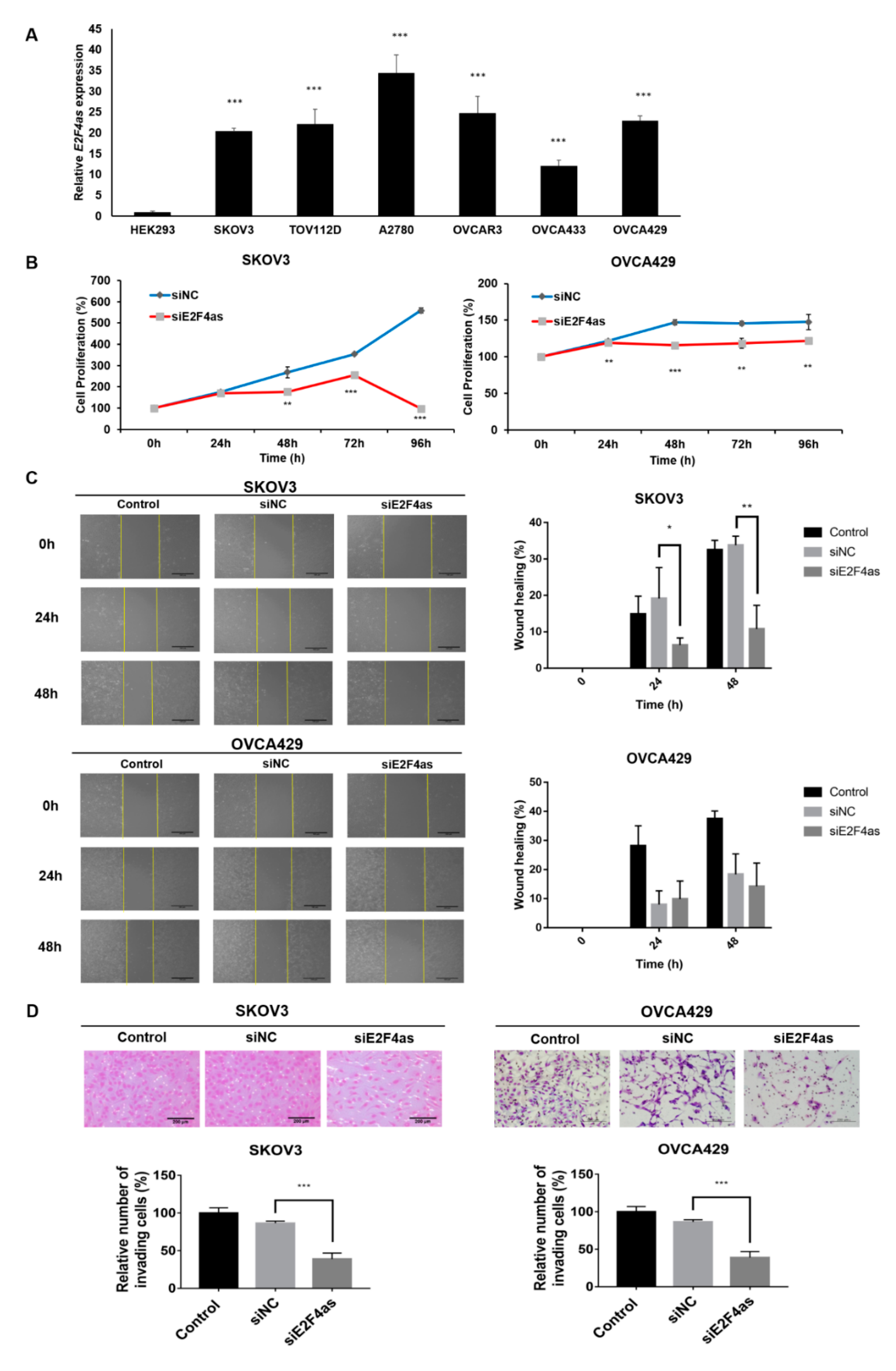 Cancers 12 03626 g003 Cancers 12 03626 g003