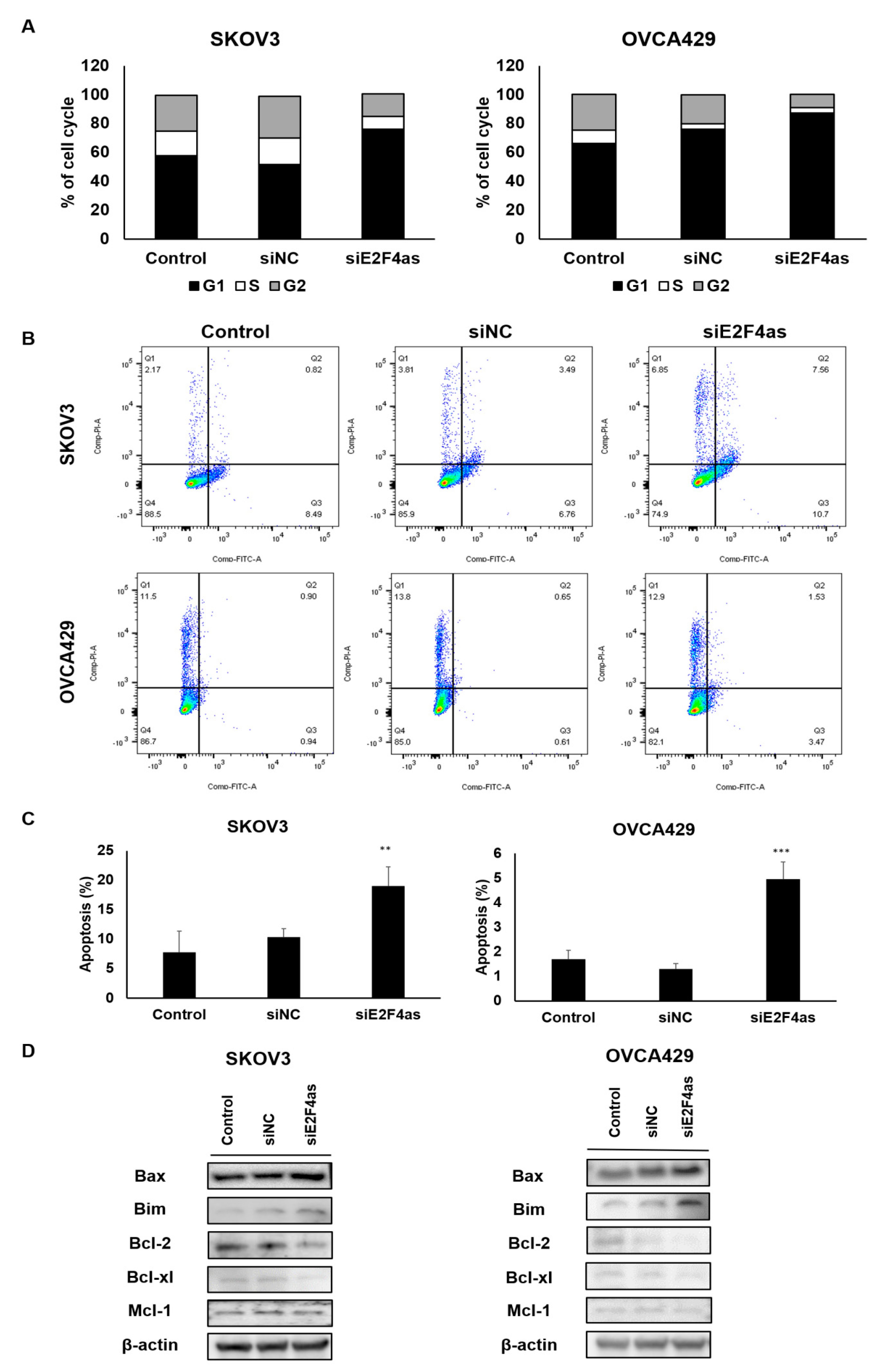 Cancers 12 03626 g004 Cancers 12 03626 g004