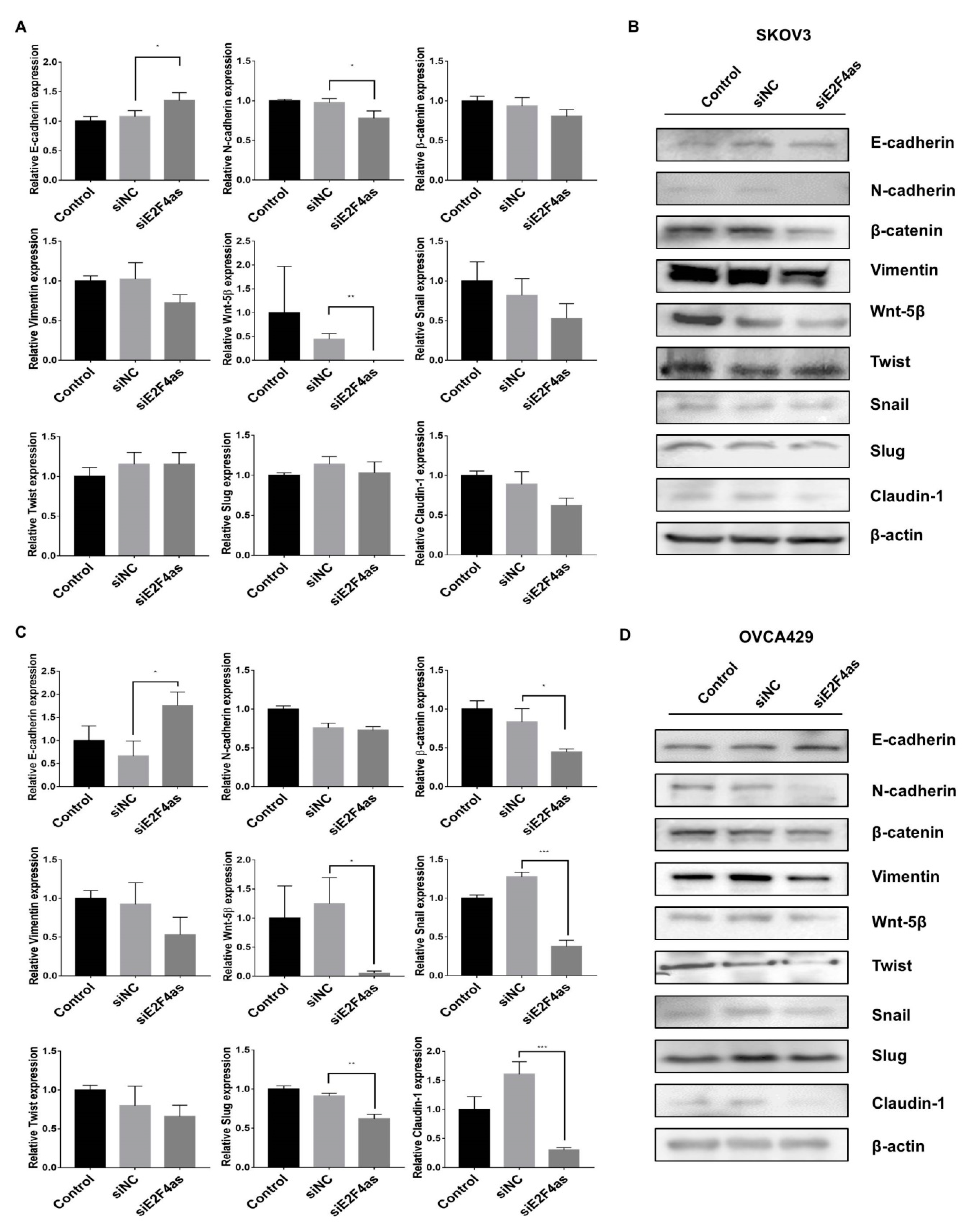 Cancers 12 03626 g005 Cancers 12 03626 g005