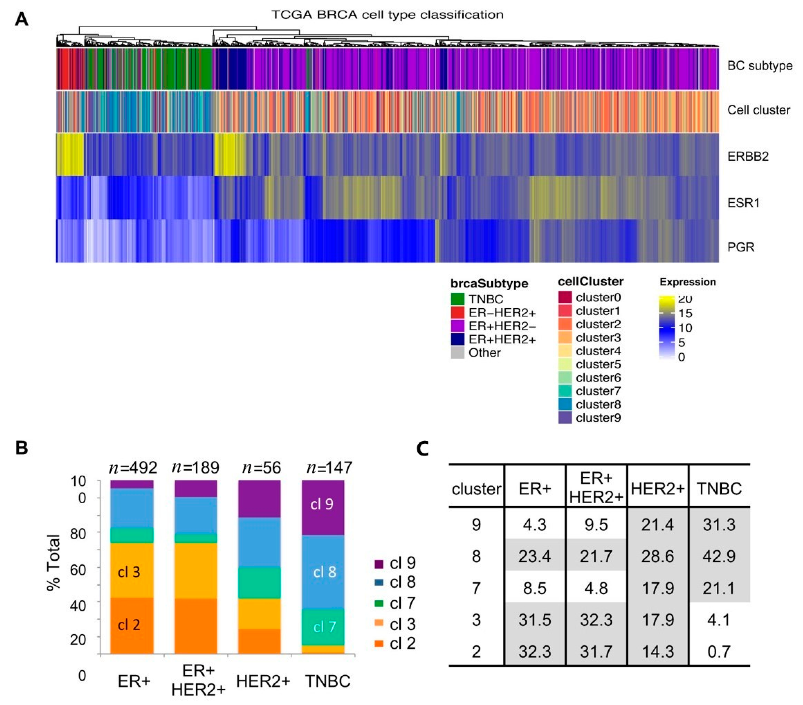 Cancers 12 03639 g006 Cancers 12 03639 g006