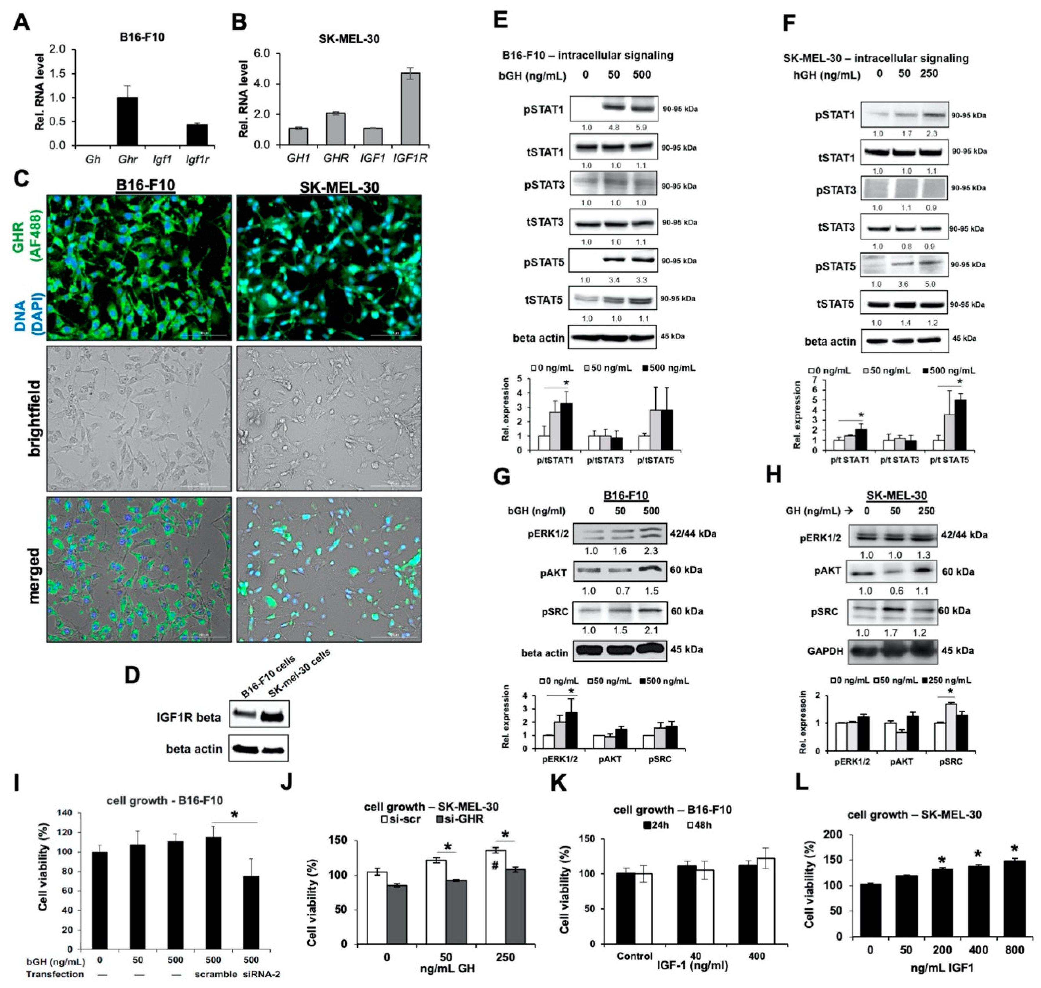 Cancers 12 03640 g001 Cancers 12 03640 g001