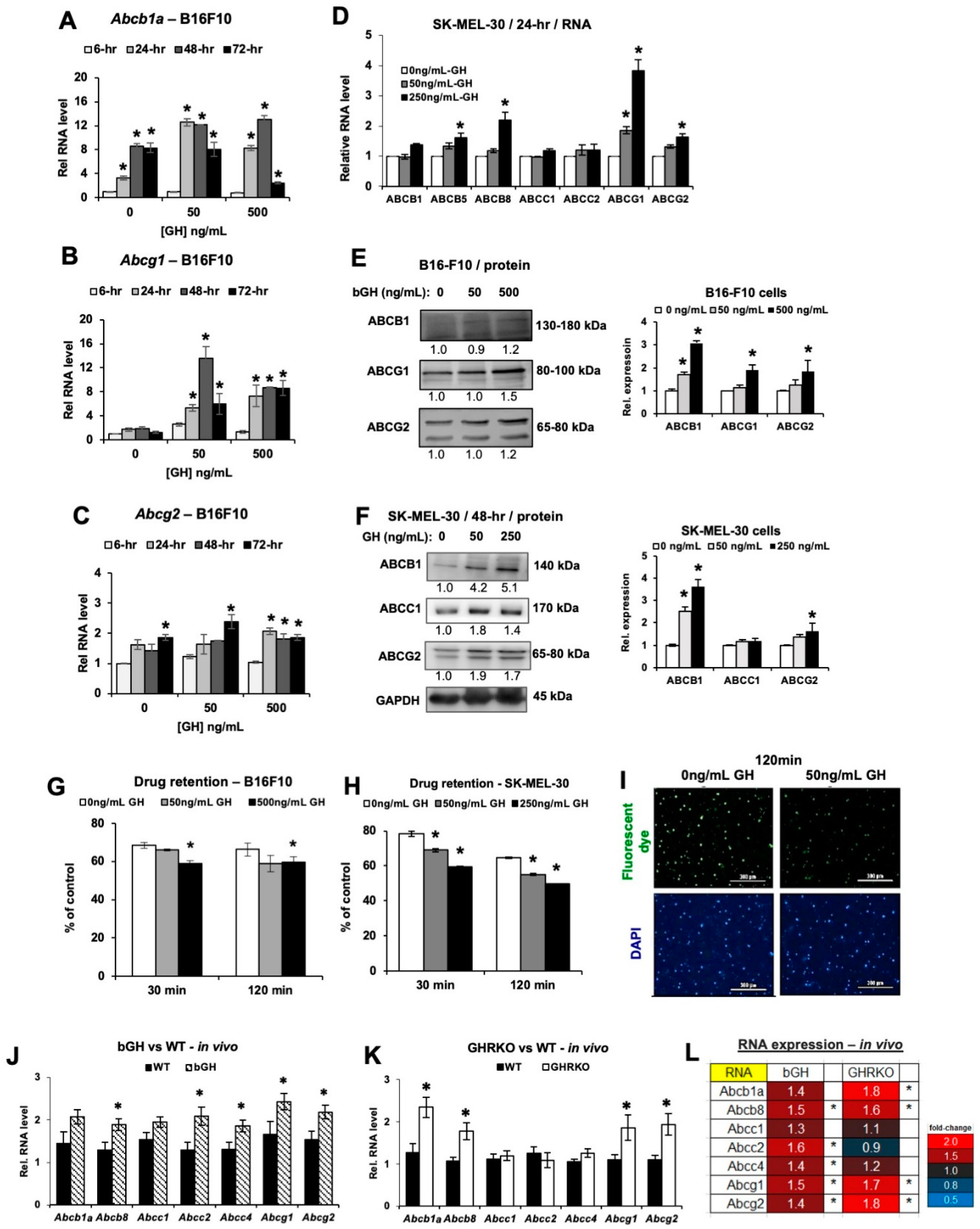 Cancers 12 03640 g003 Cancers 12 03640 g003