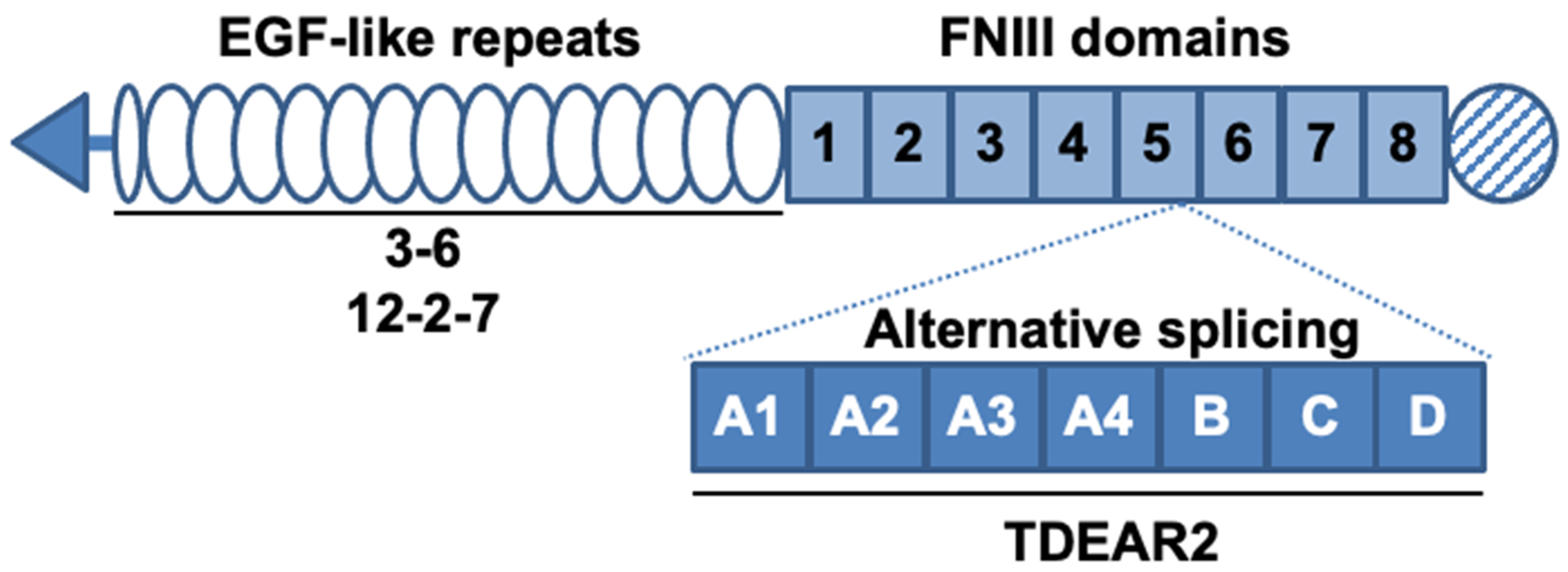 Cancers 12 03652 g001