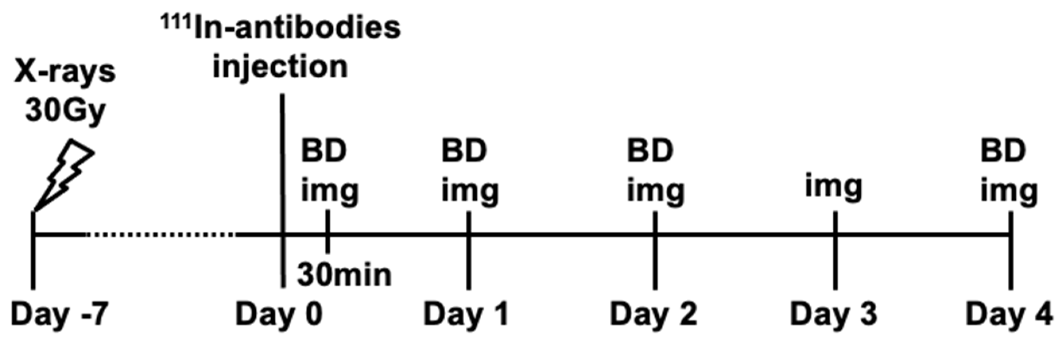 Cancers 12 03652 g004