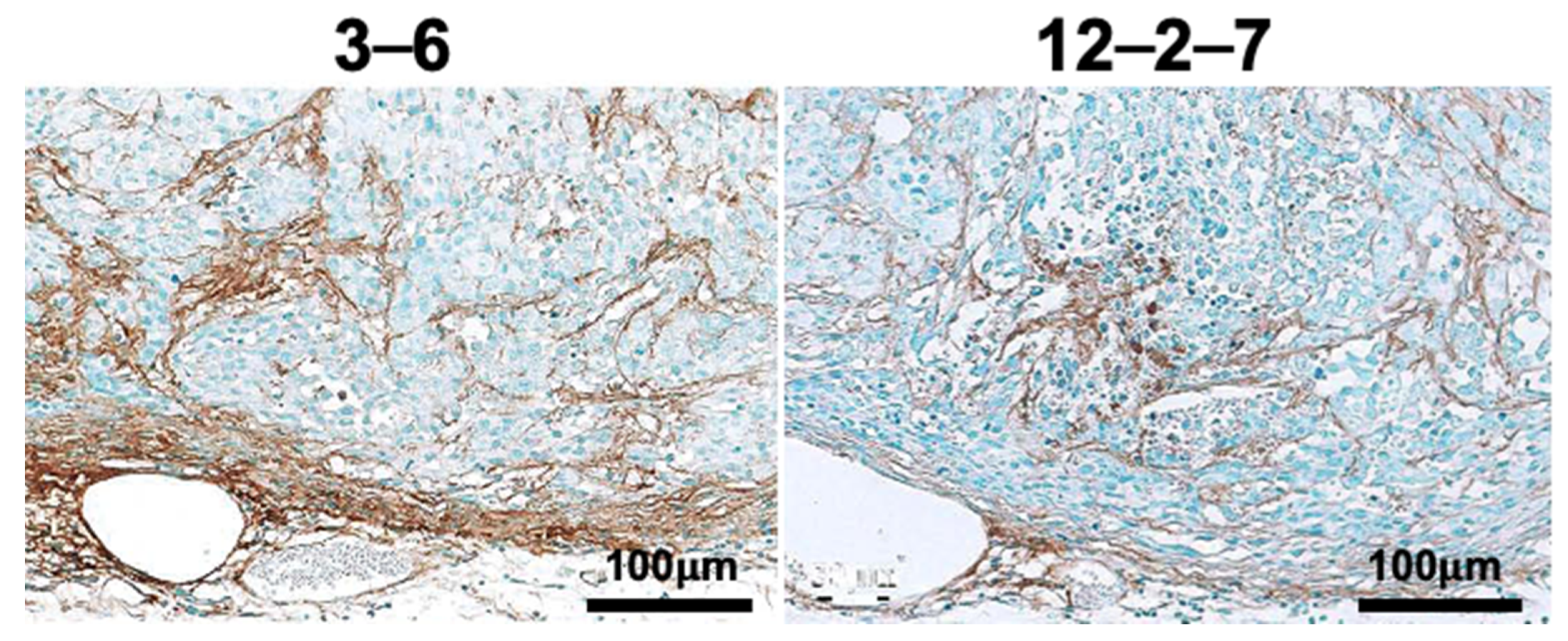 Cancers 12 03652 g009