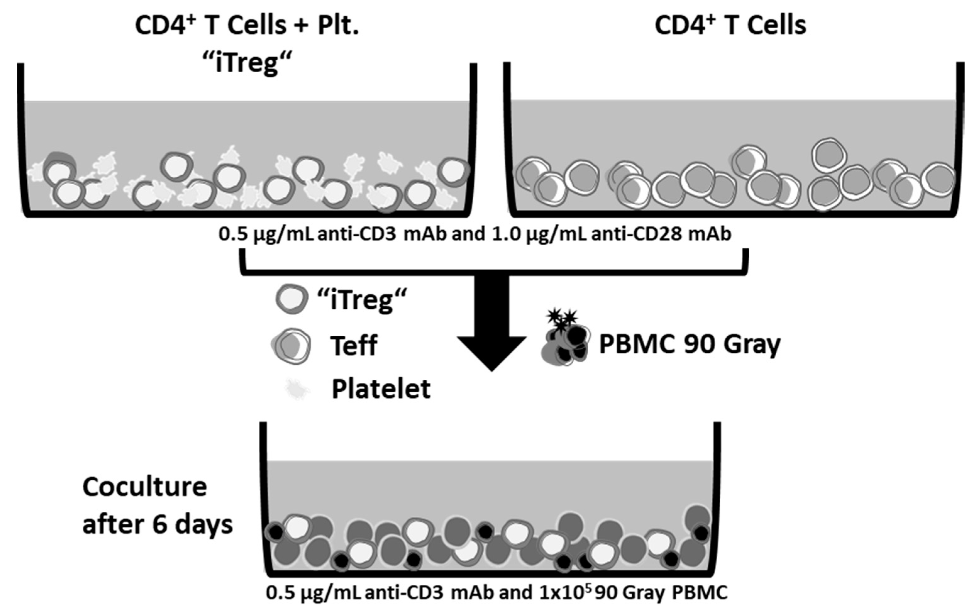 Cancers 12 03653 g0a3