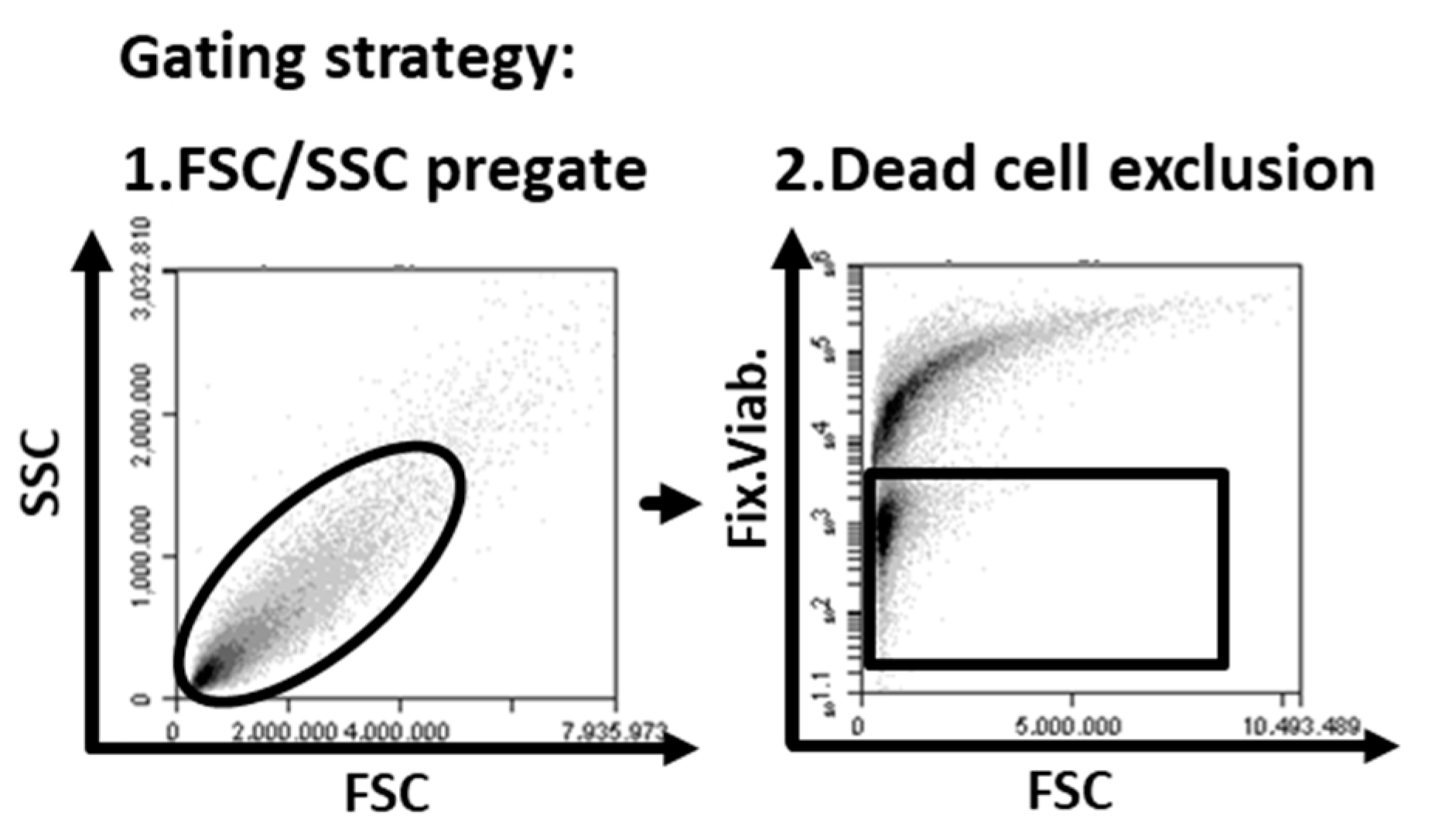 Cancers 12 03653 g0a7
