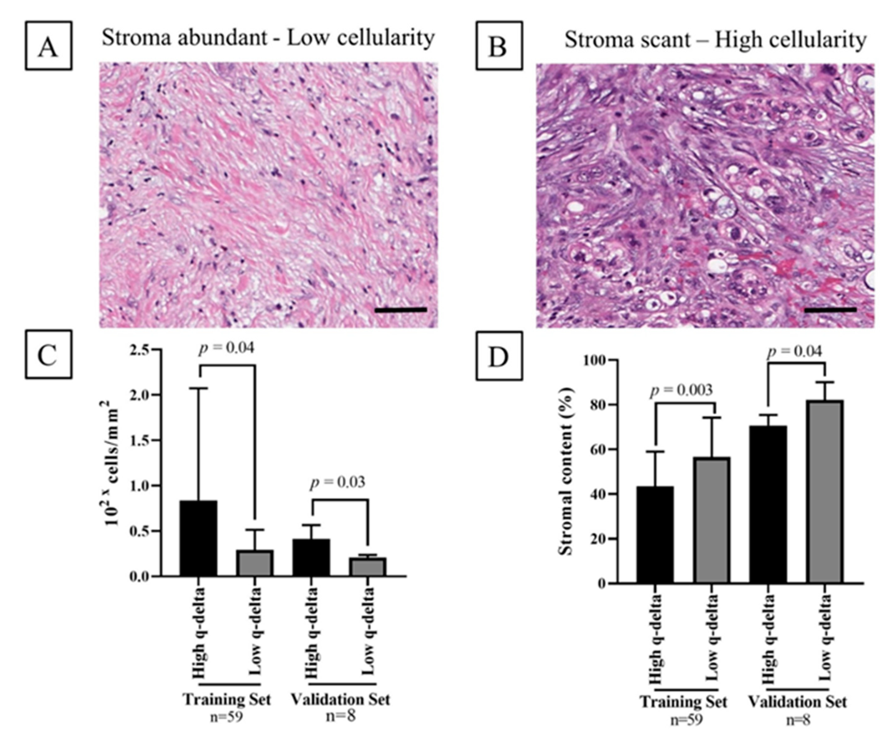 Cancers 12 03656 g002