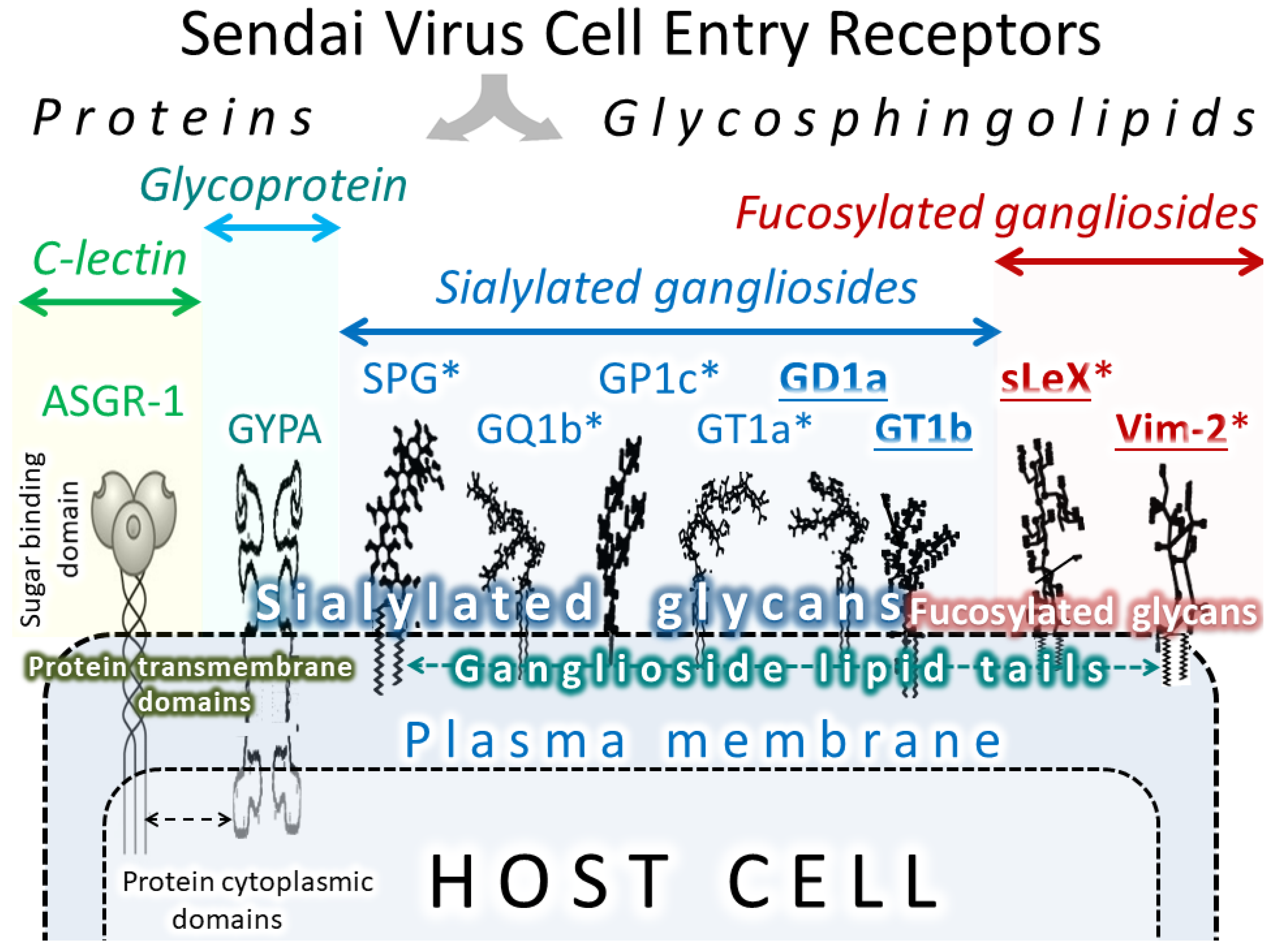 Cancers 12 03659 g004 Cancers 12 03659 g004