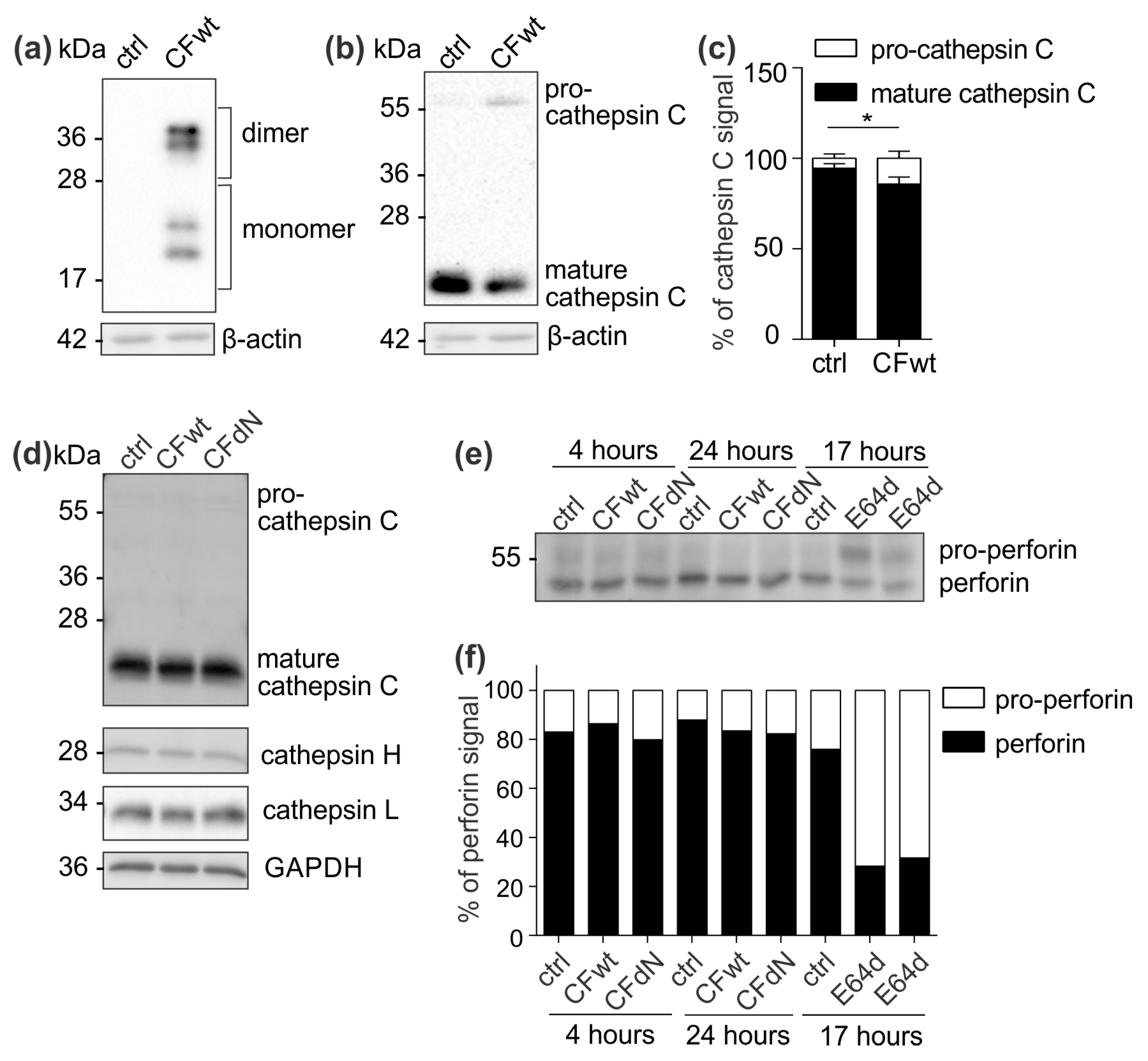Cancers 12 03660 g004