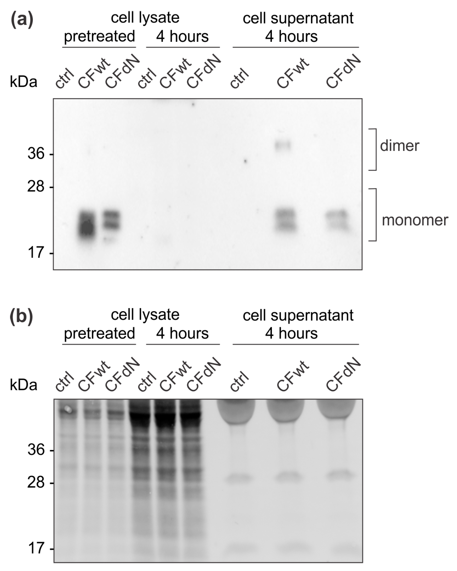 Cancers 12 03660 g005