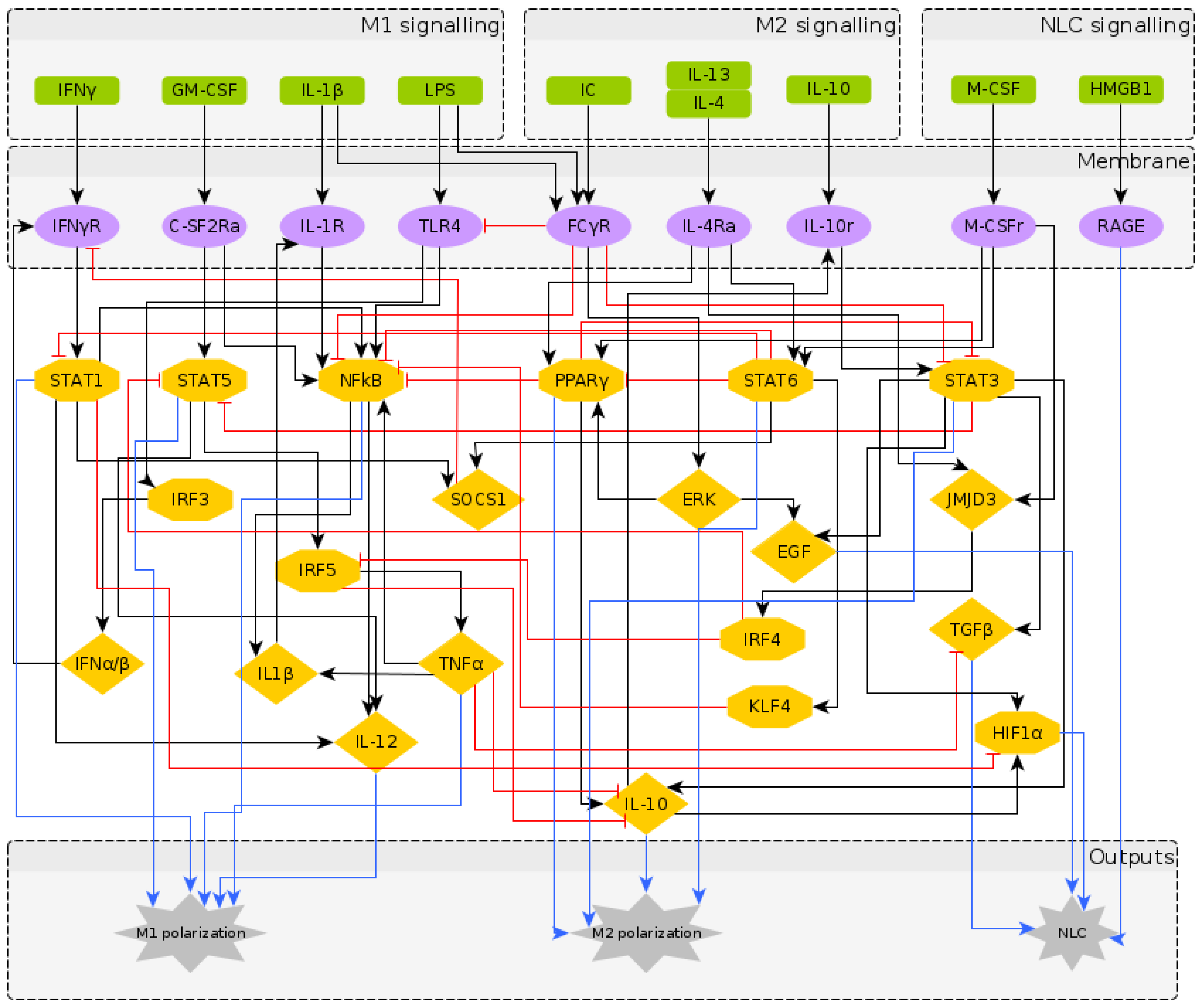 Cancers 12 03664 g001