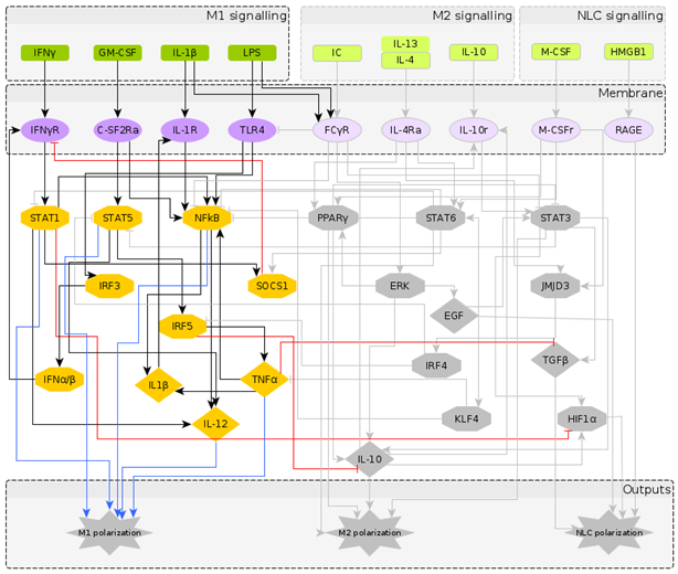 Cancers 12 03664 i002