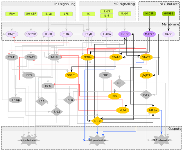 Cancers 12 03664 i006