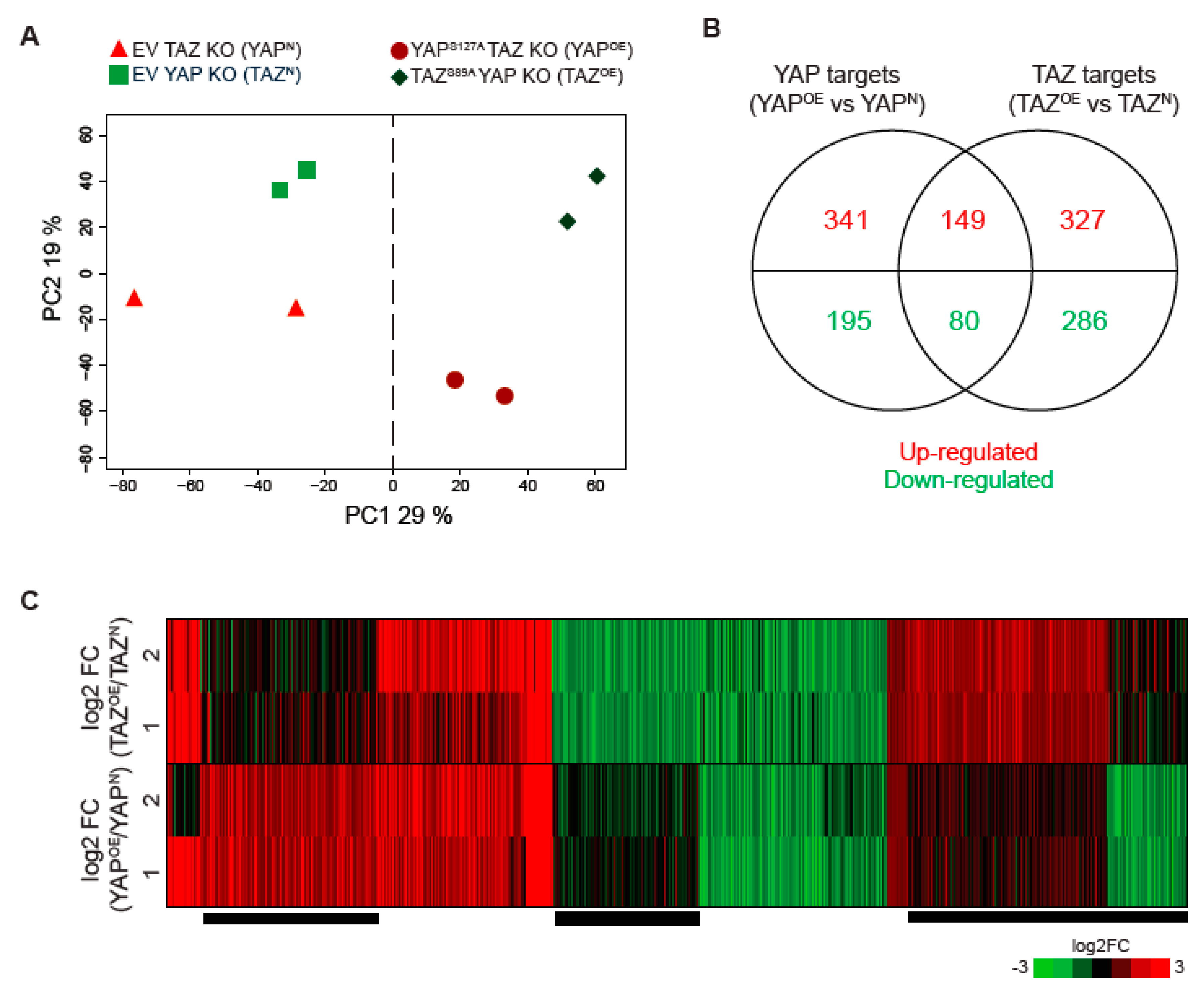 Cancers 12 03667 g002