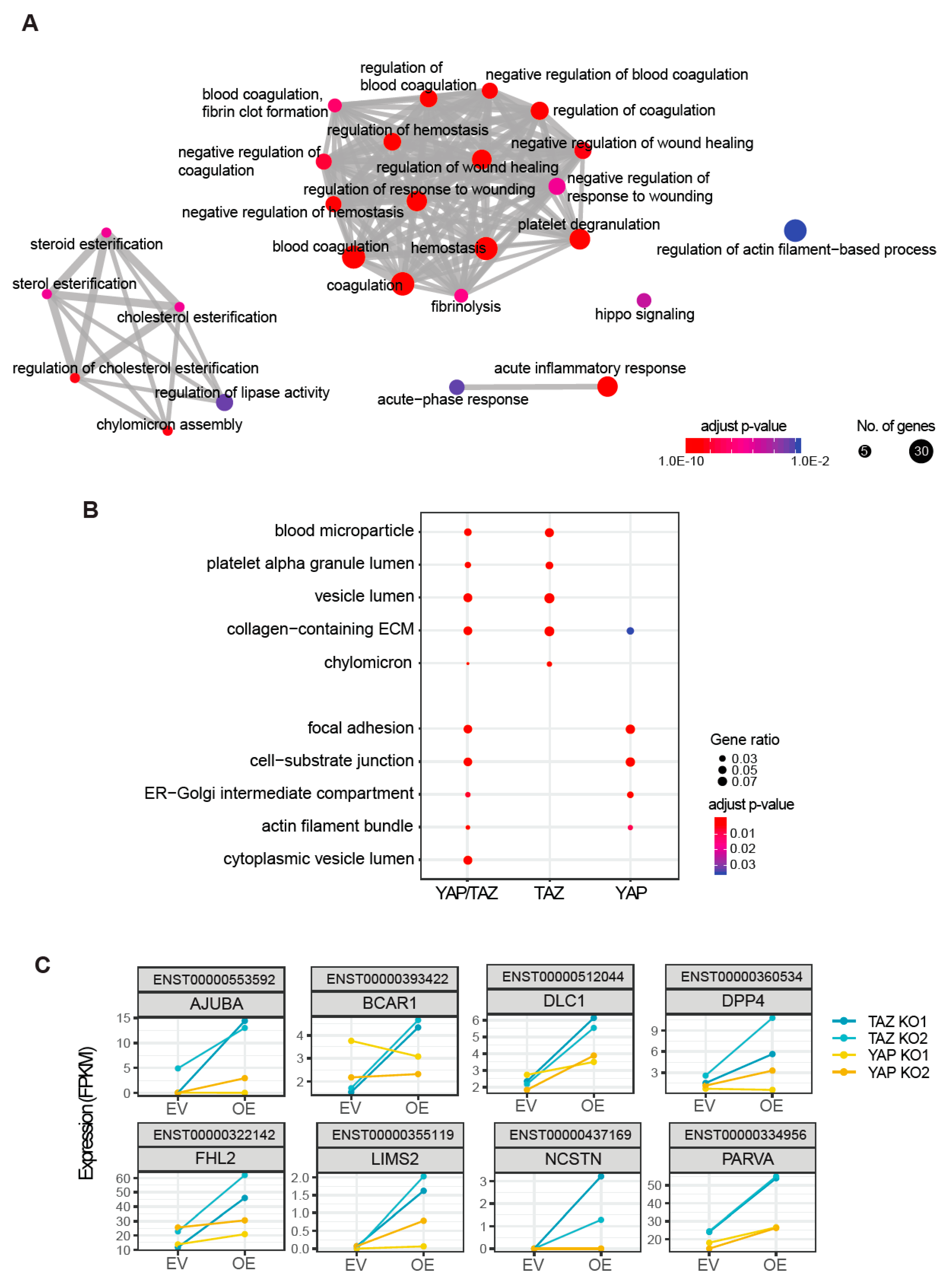 Cancers 12 03667 g003