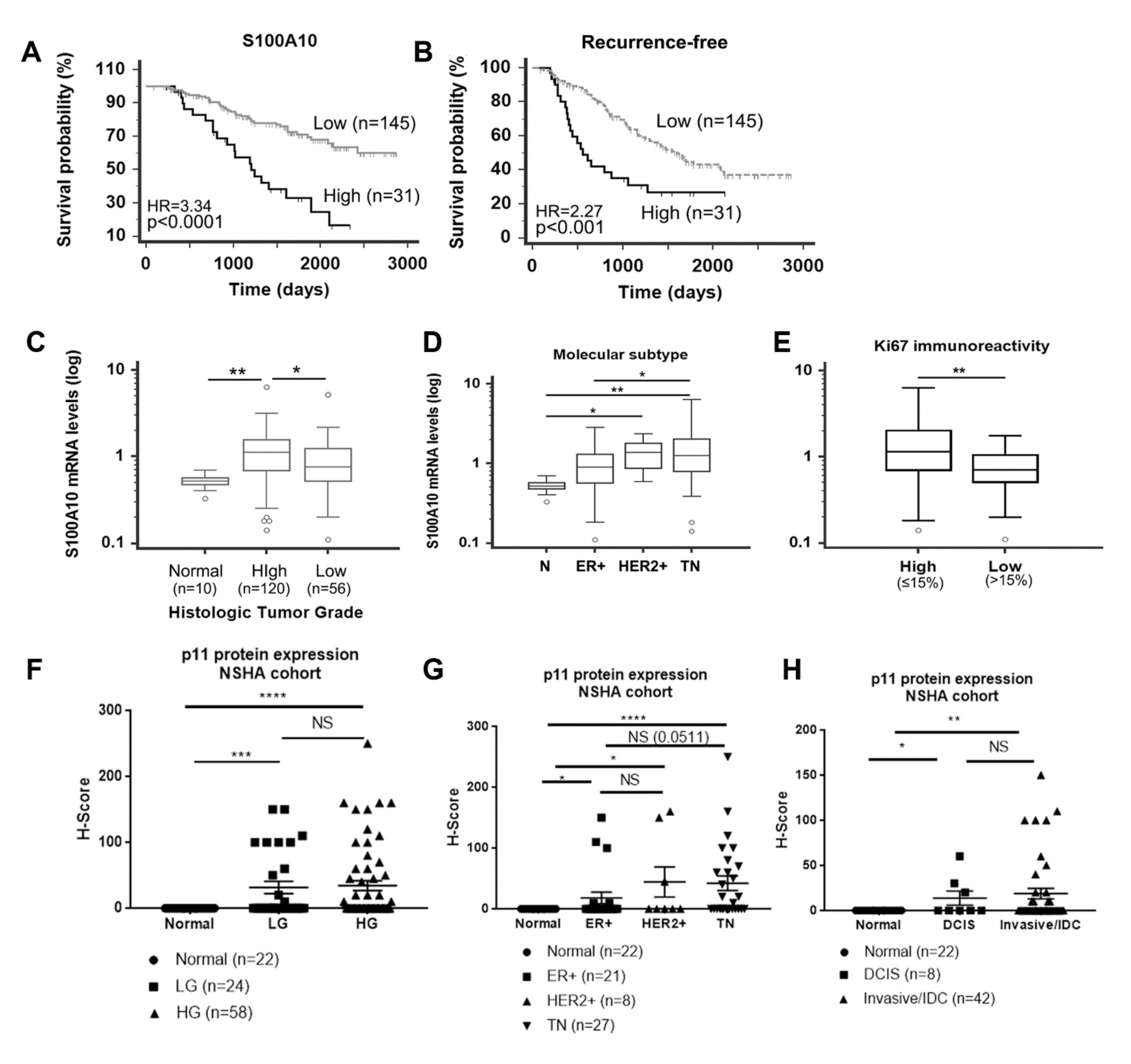 Cancers 12 03673 g007 Cancers 12 03673 g007
