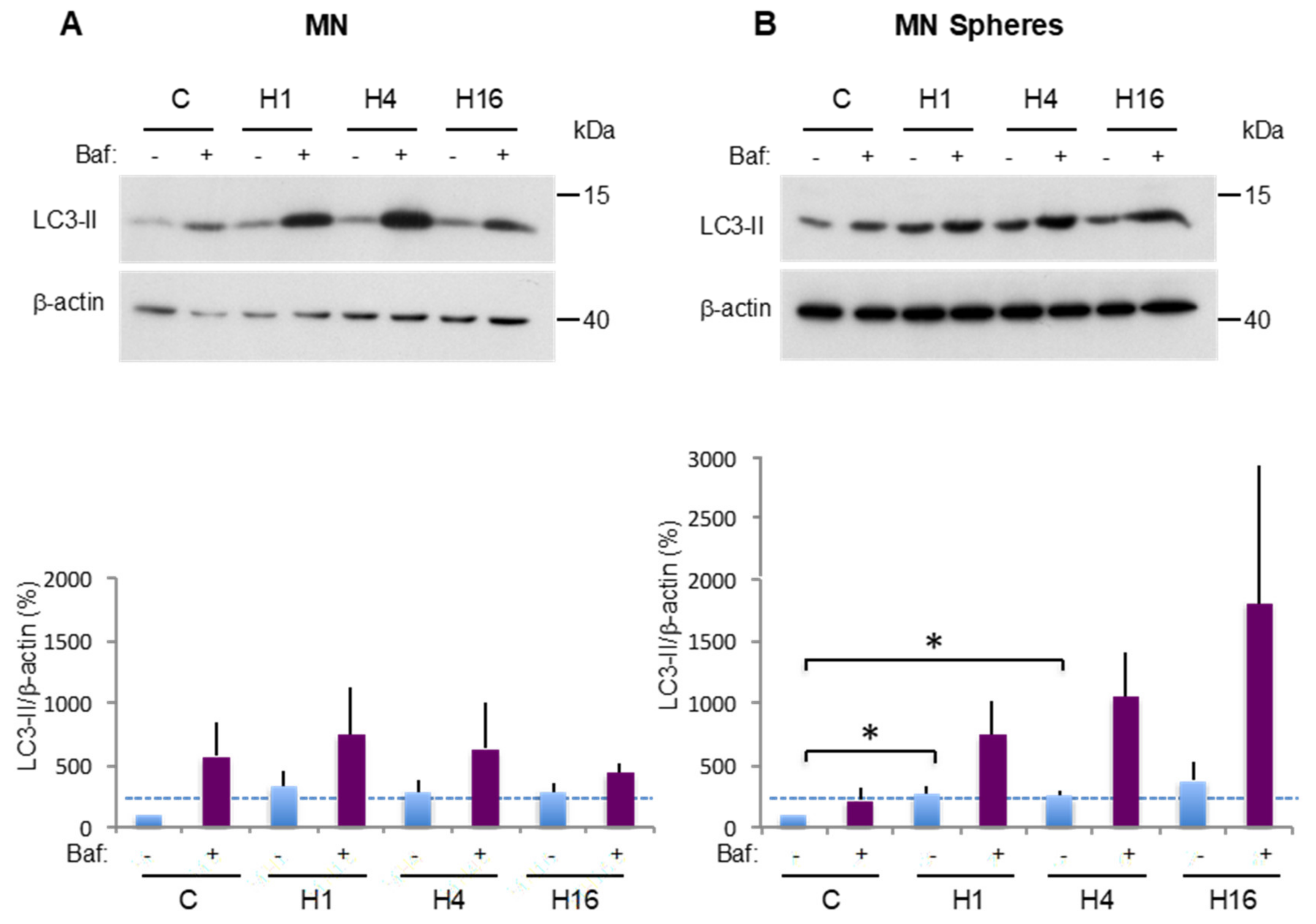 Cancers 12 03675 g003a Cancers 12 03675 g003a