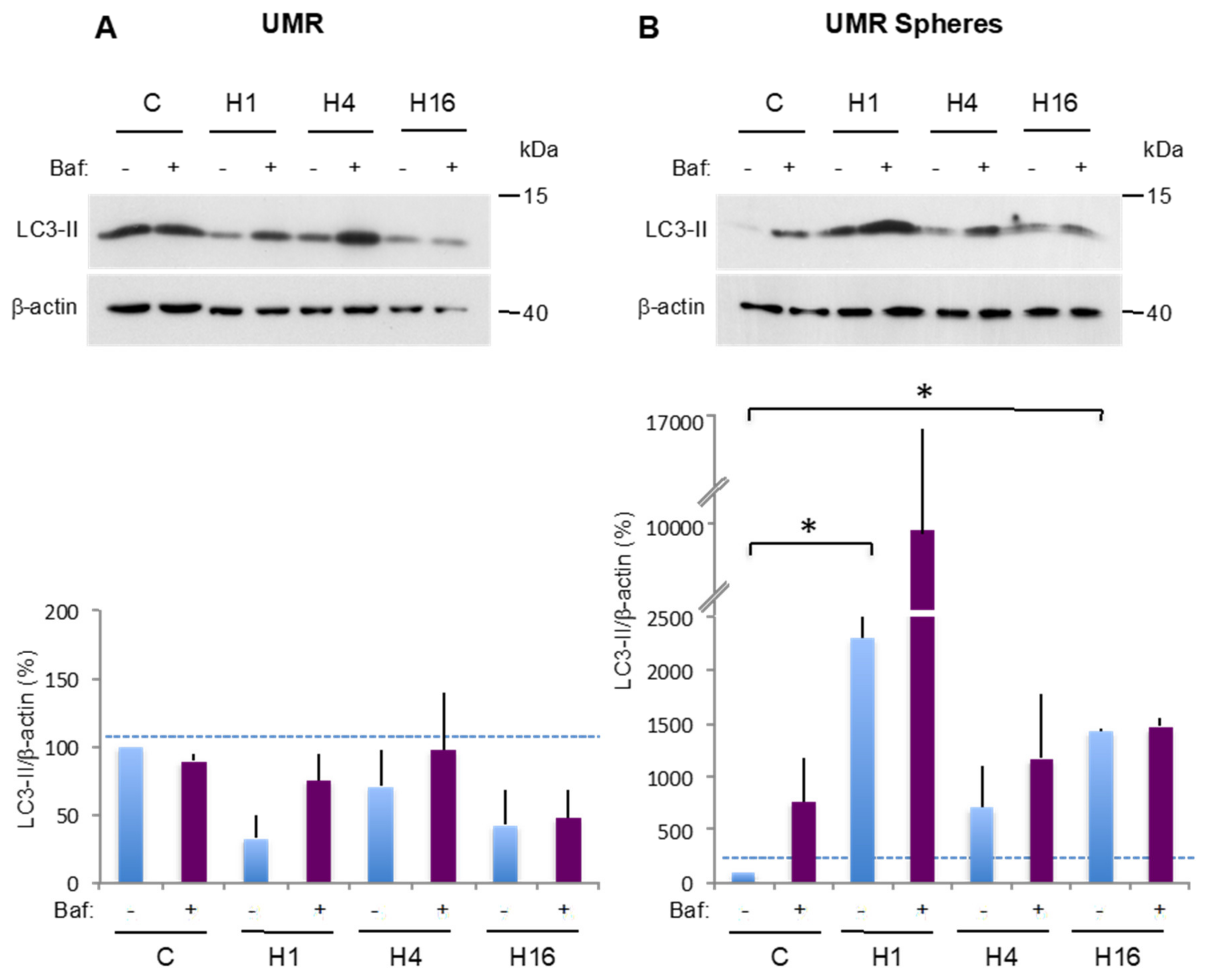 Cancers 12 03675 g004a Cancers 12 03675 g004a