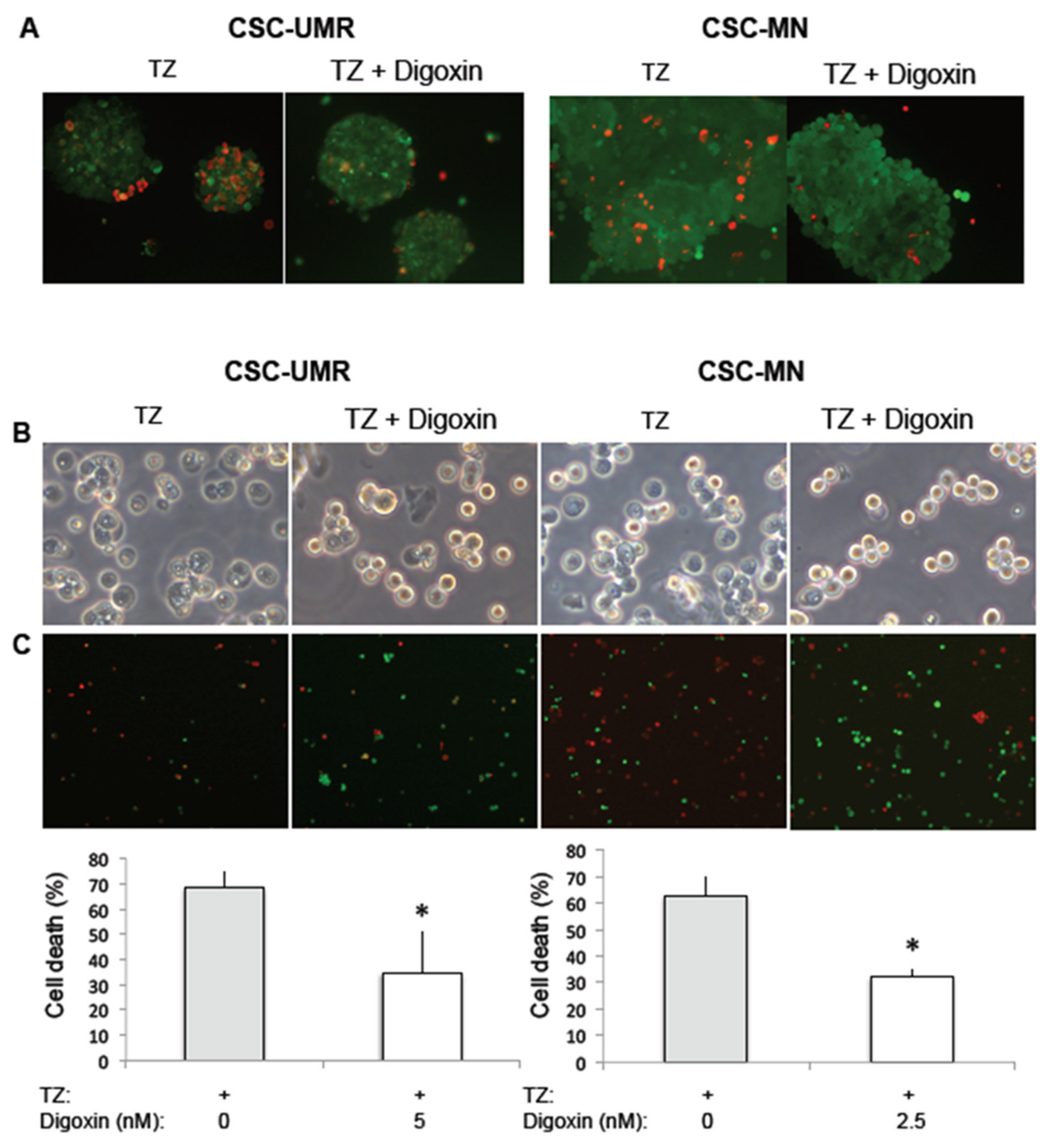 Cancers 12 03675 g008 Cancers 12 03675 g008