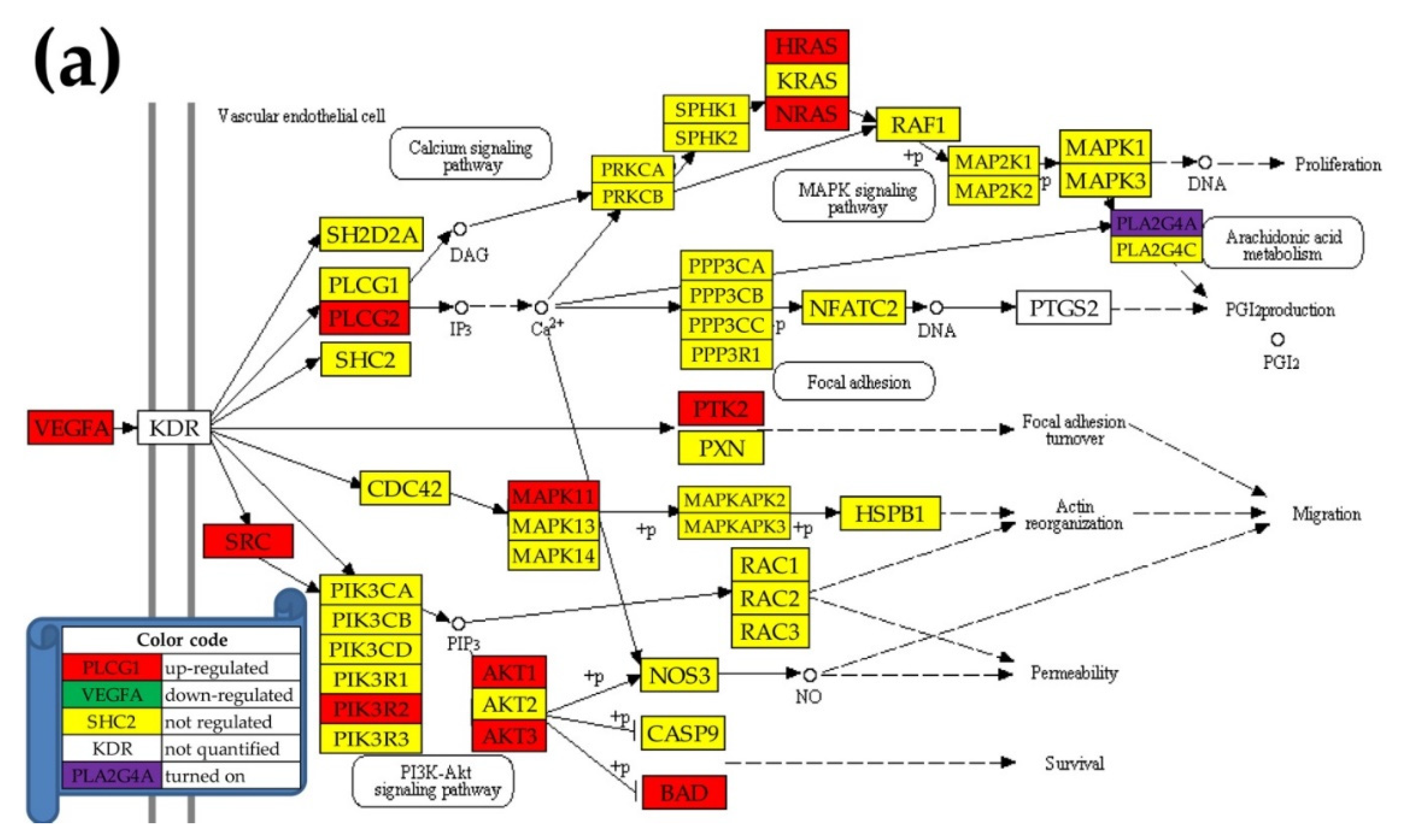Cancers 12 03678 g004a