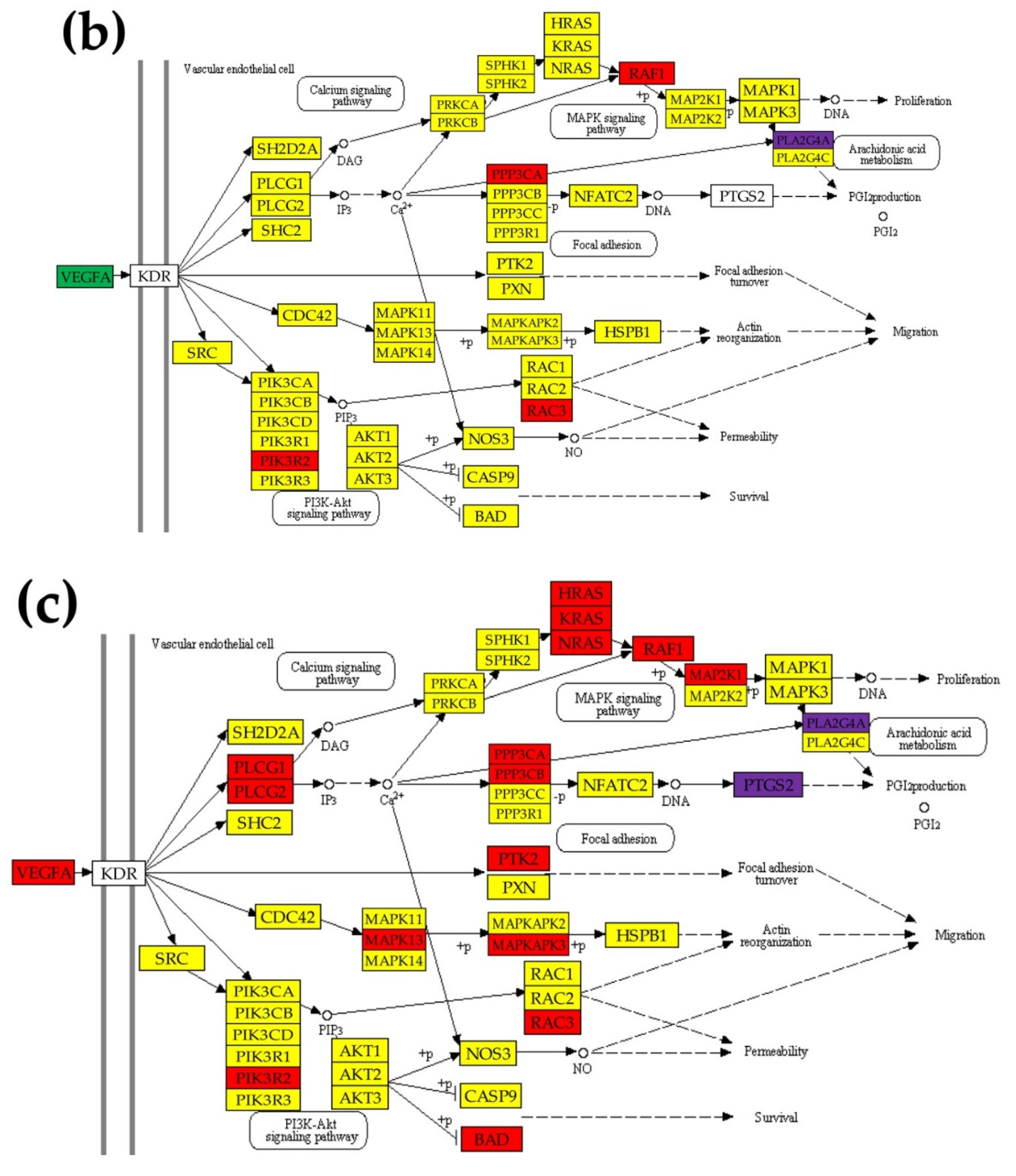 Cancers 12 03678 g004b